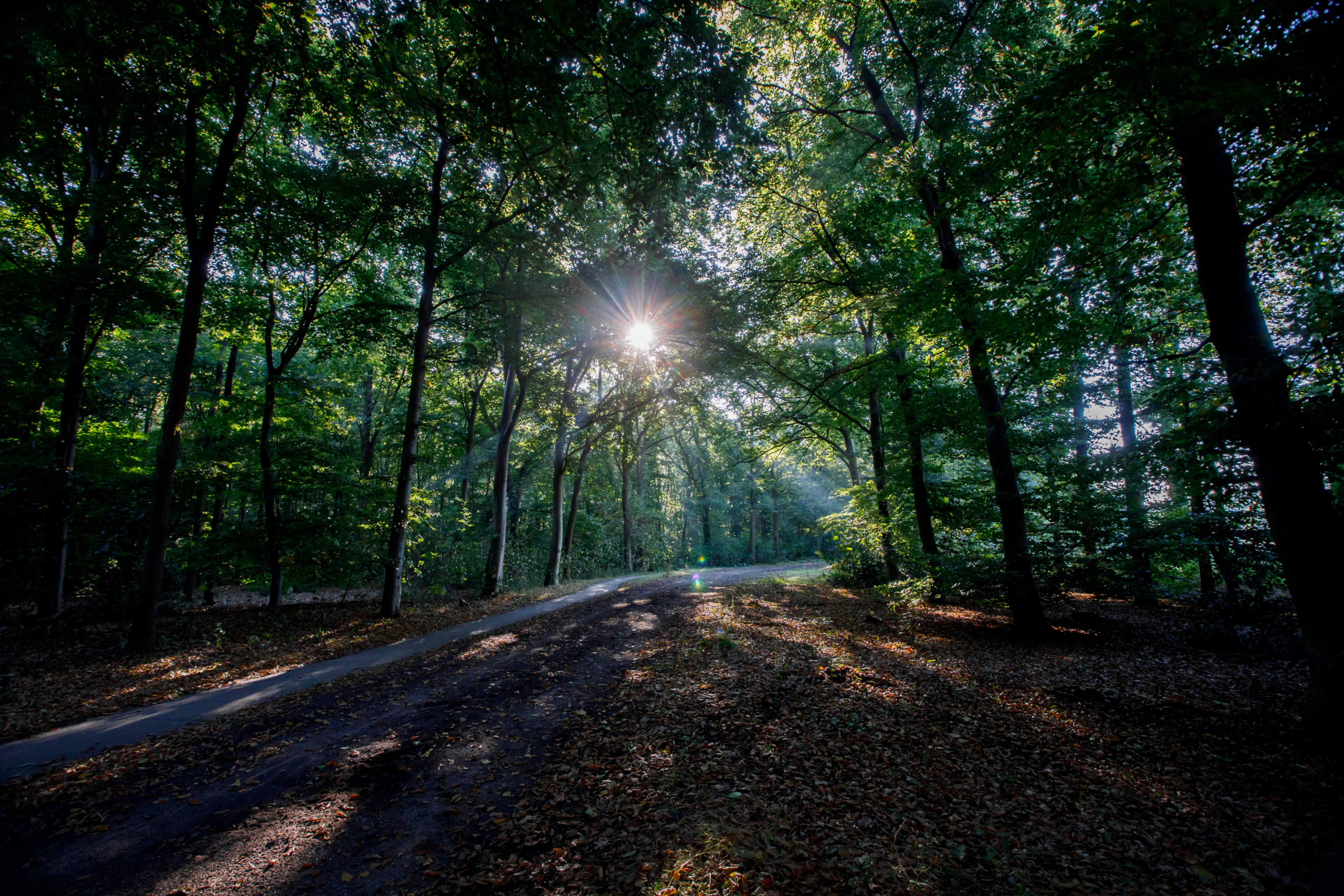 Natuurhuisje in Rheezerveen