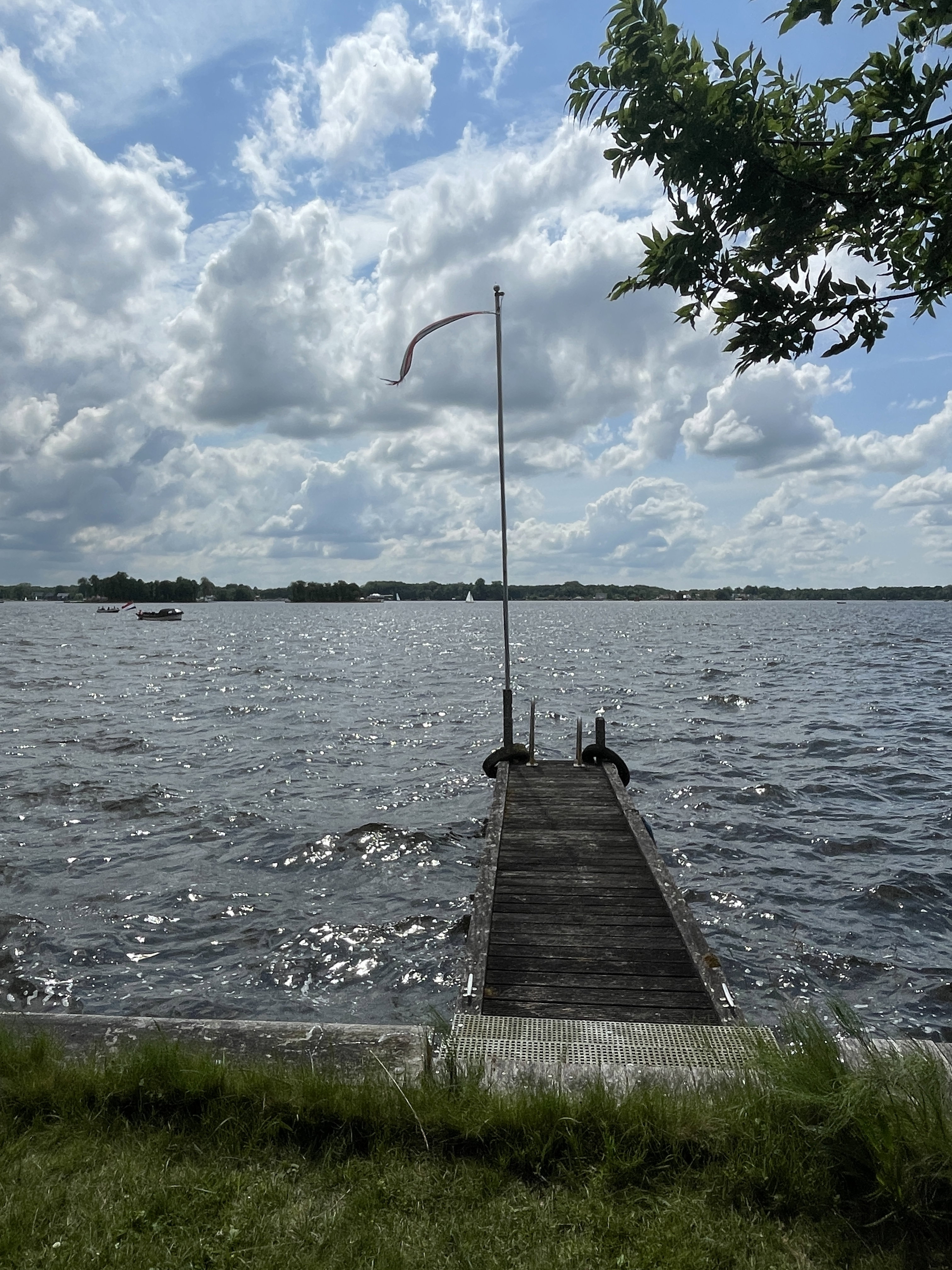 - image: 15