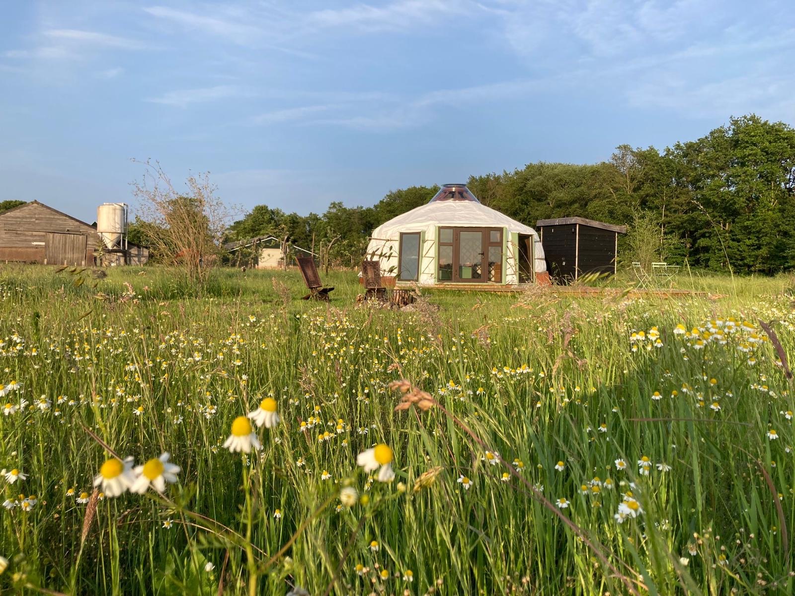 Casa nella natura a Fochteloo