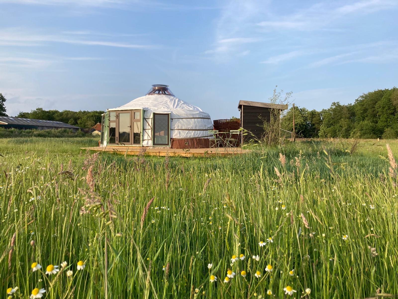 Casa nella natura a Fochteloo