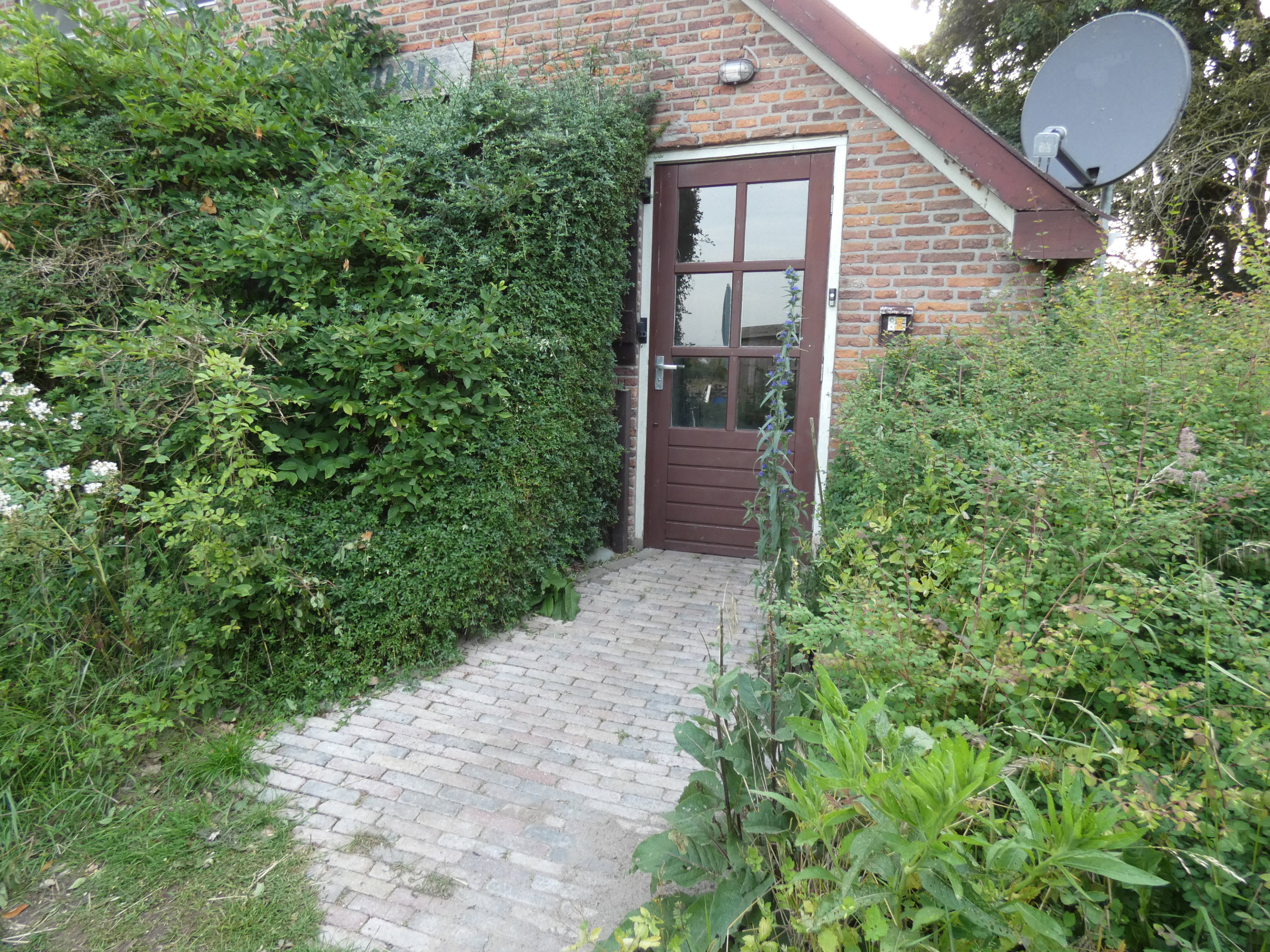 Casa nella natura a Olst