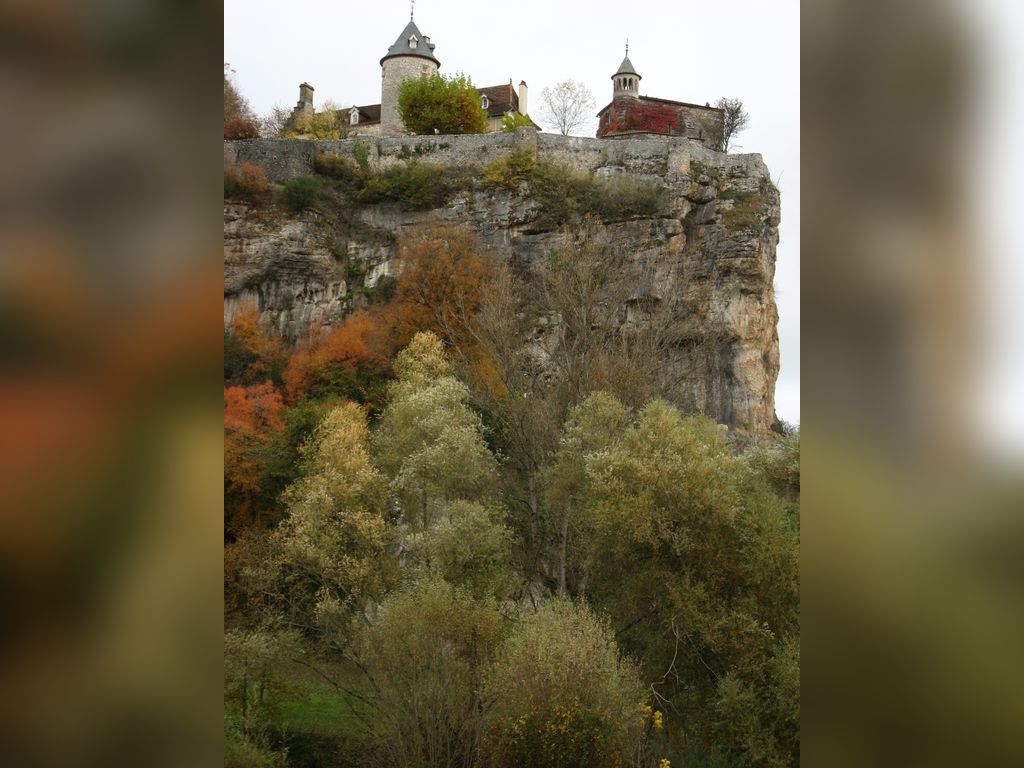 - image: 12