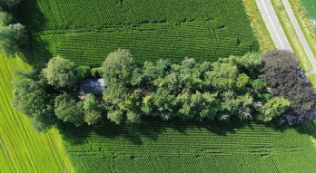 Casa nella natura a Diepenheim