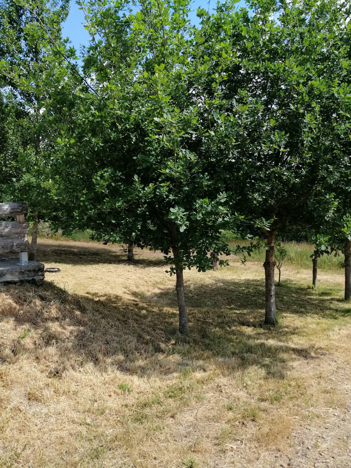 Natuurhuisje in Durmignat
