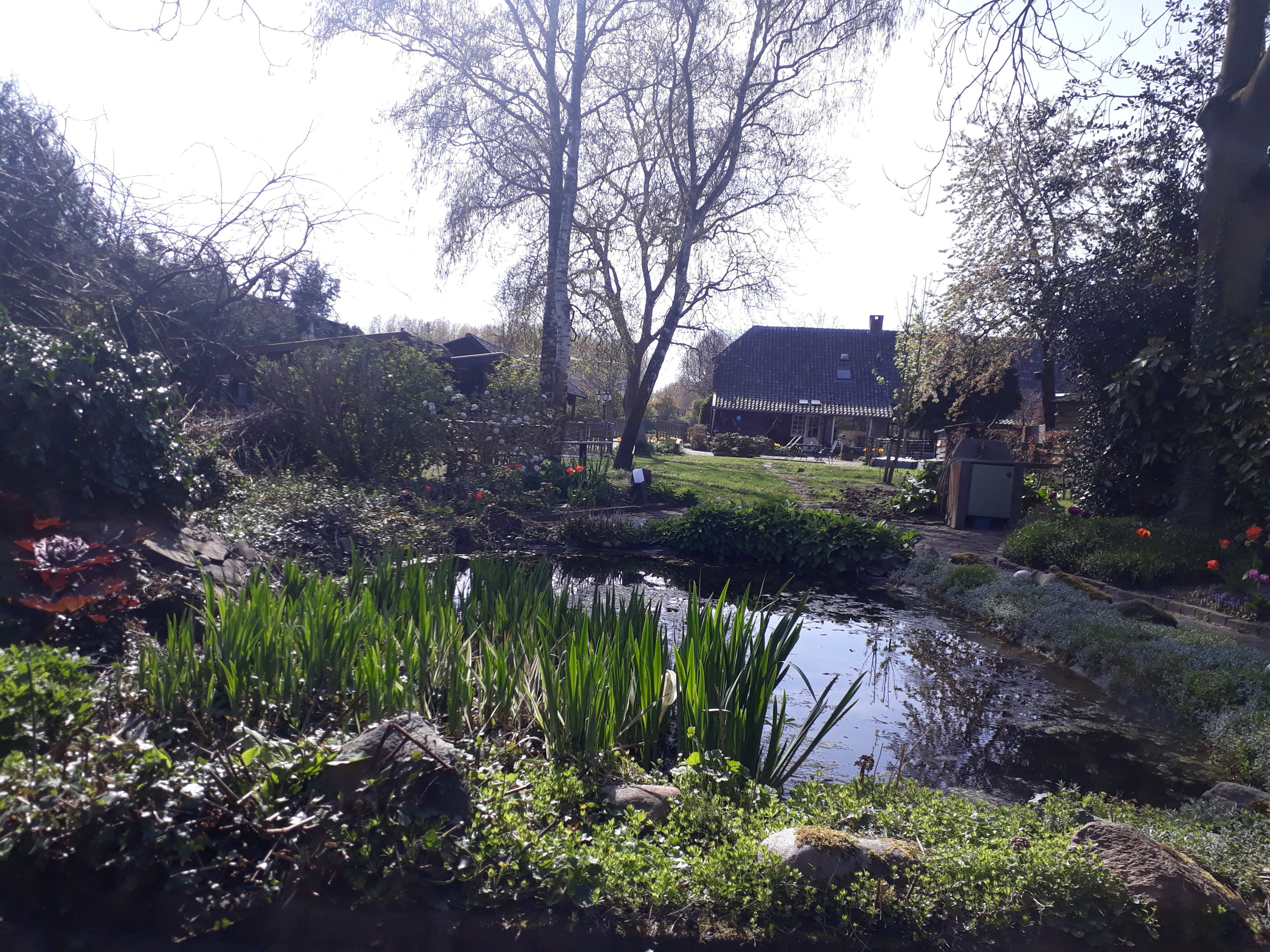 Natuurhuisje in Best