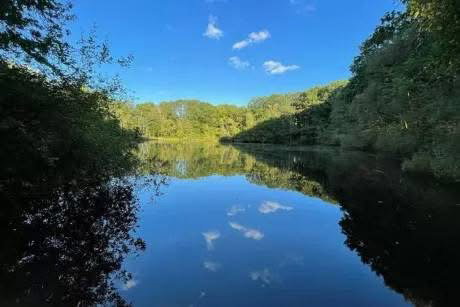 Casa nella natura a Rekem