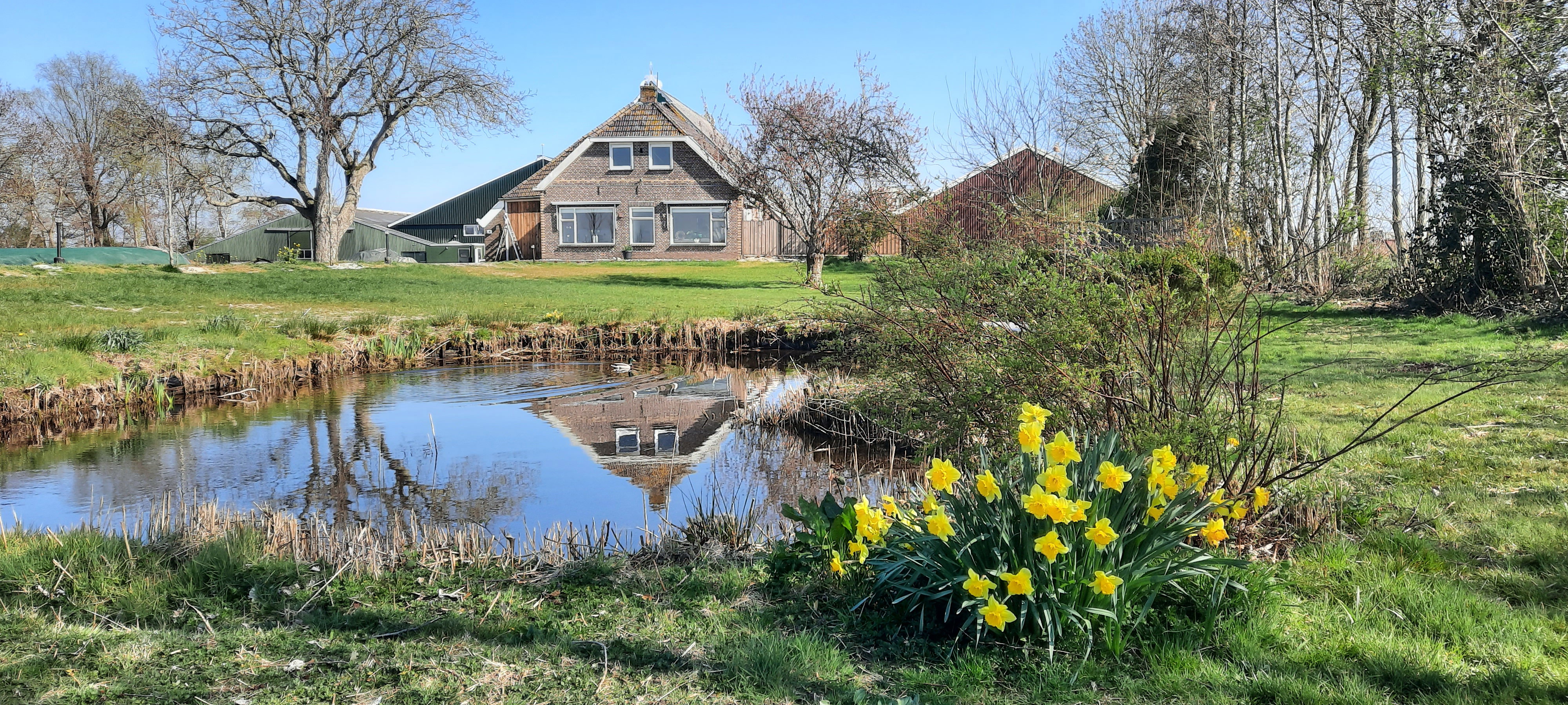 Casa nella natura a Oldelamer