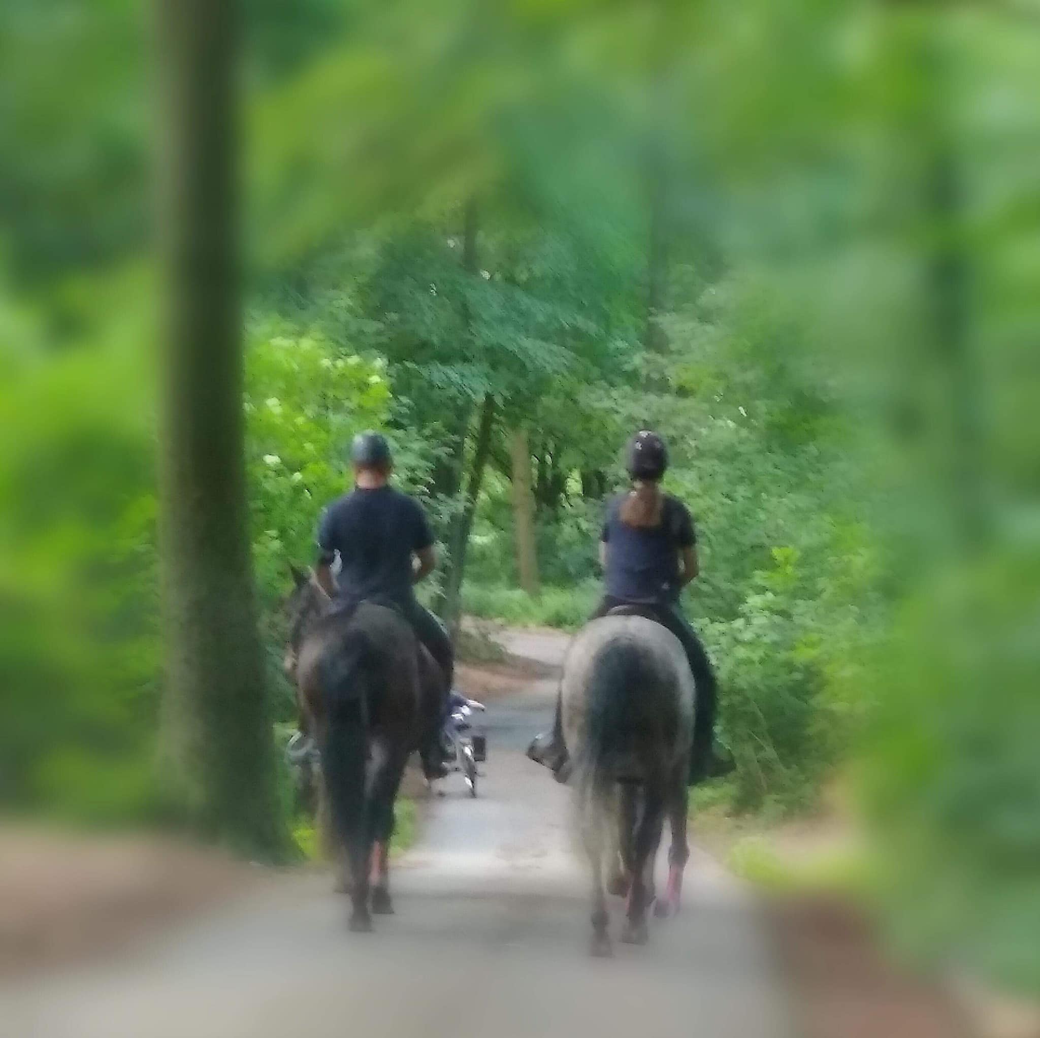 Natuurhuisje in Mont De L'enclus