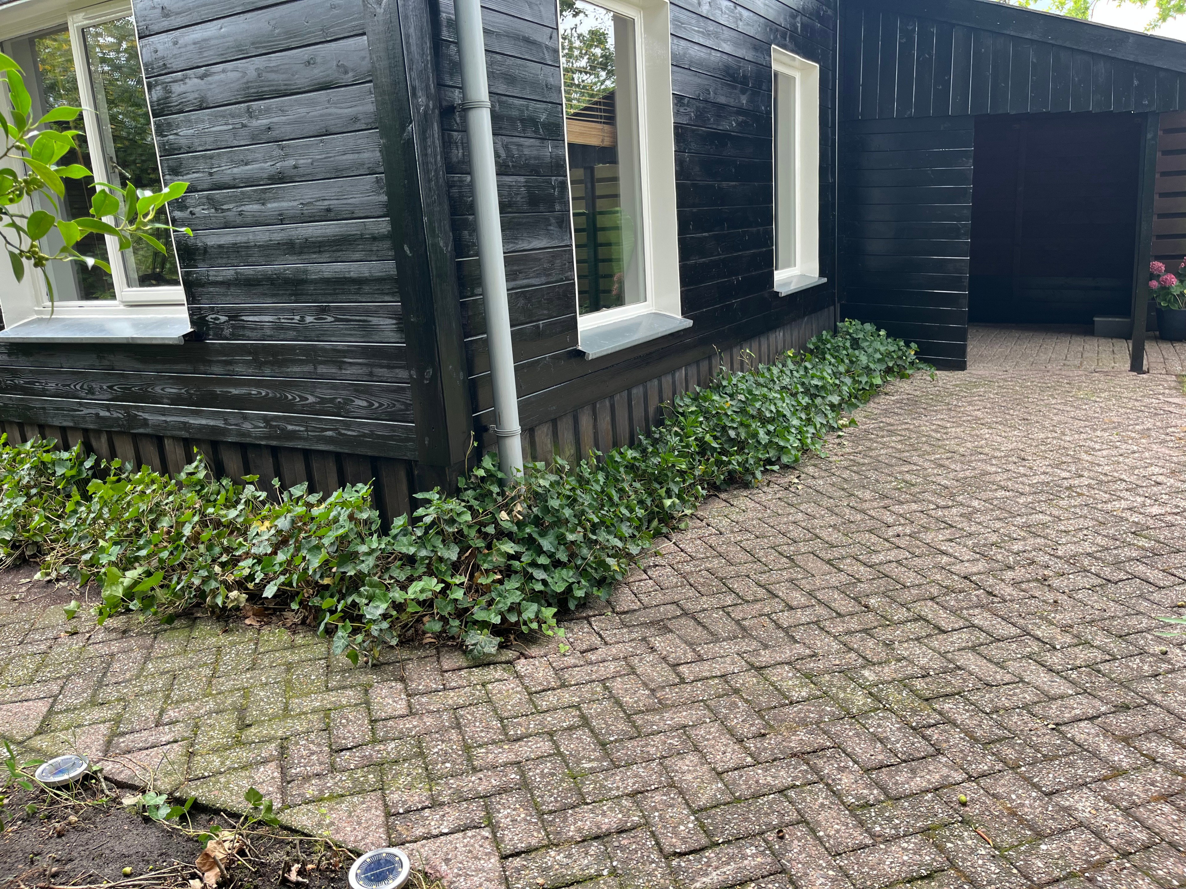 Natuurhuisje in Borger