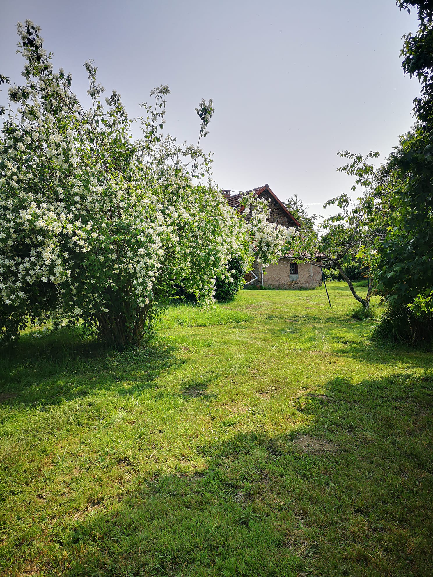 Natuurhuisje in Moureuille