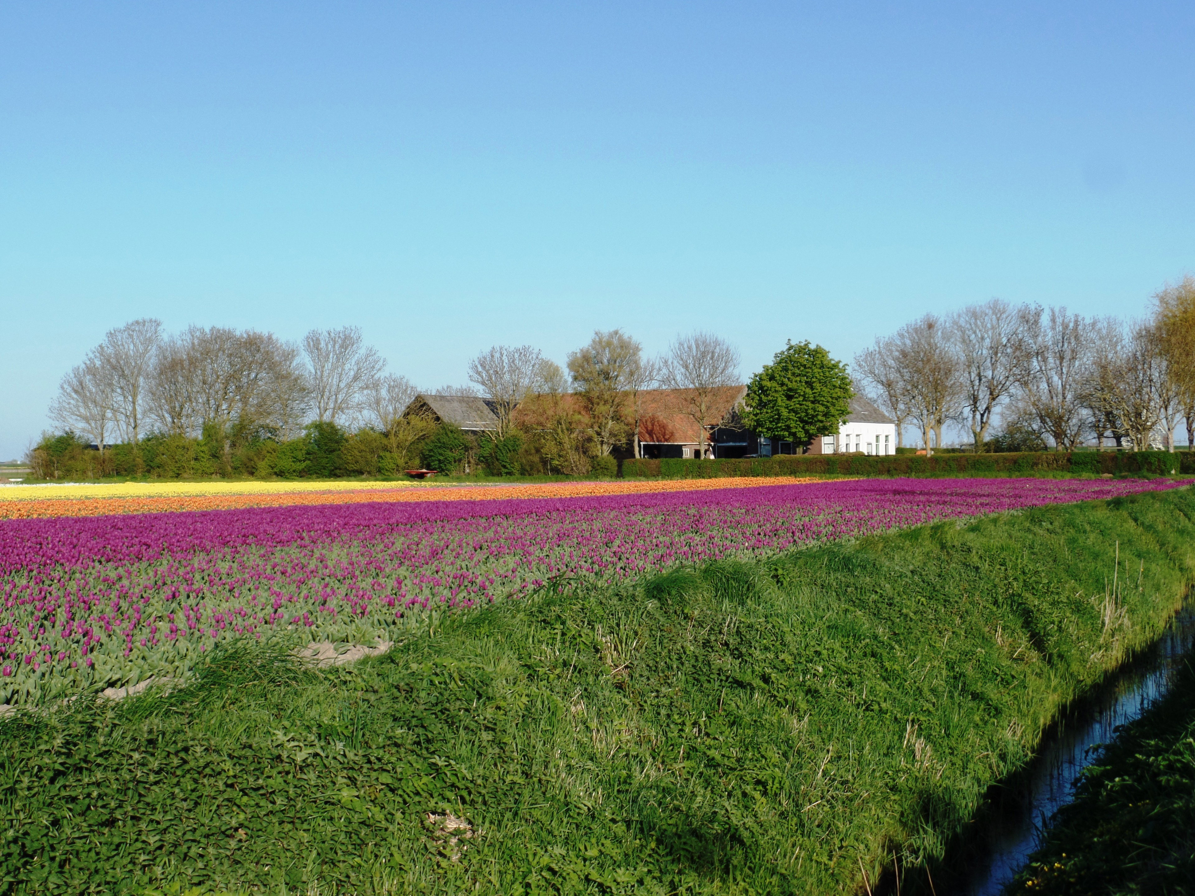 - image: 11