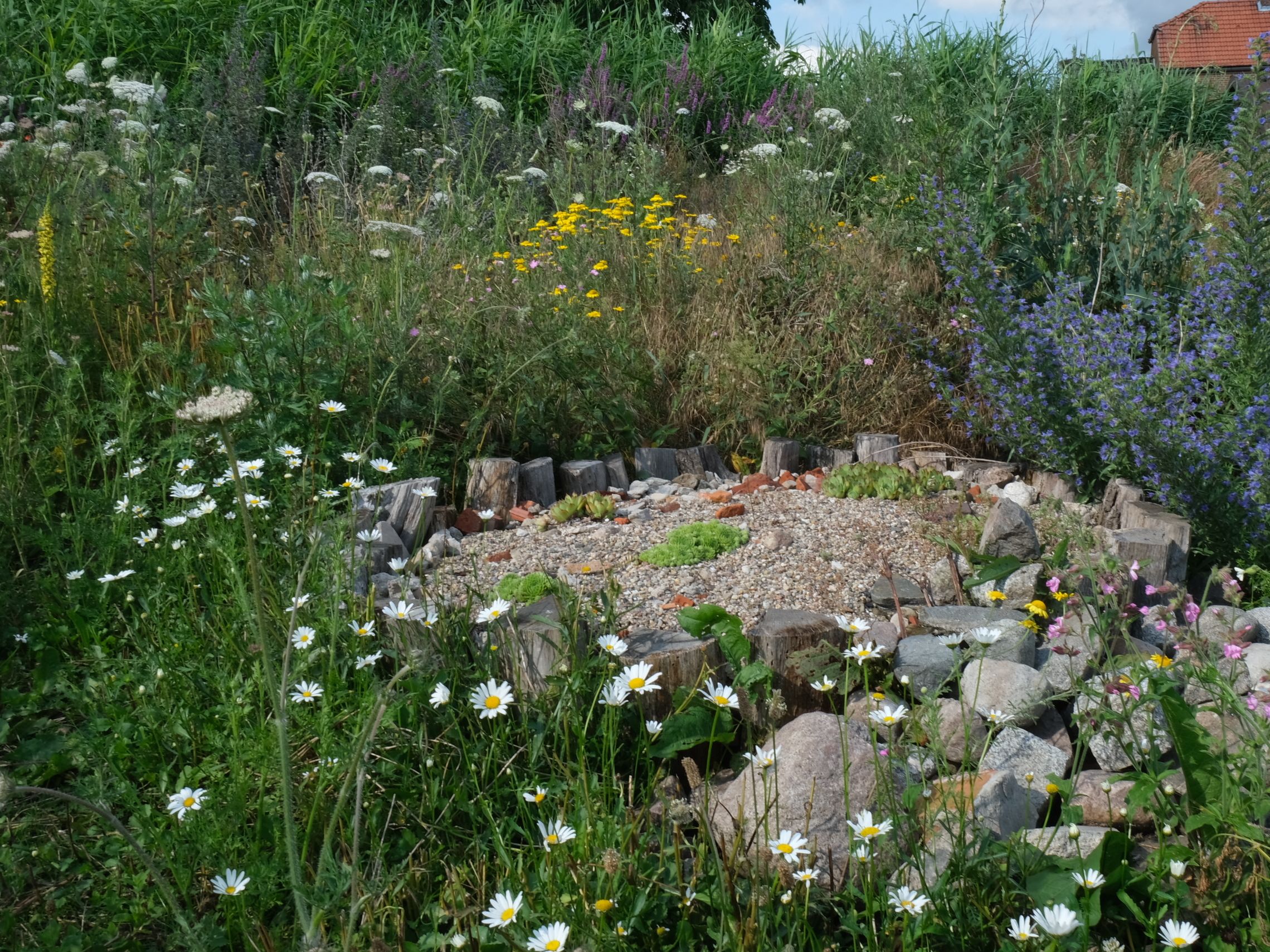 Nature house in Schnackenburg