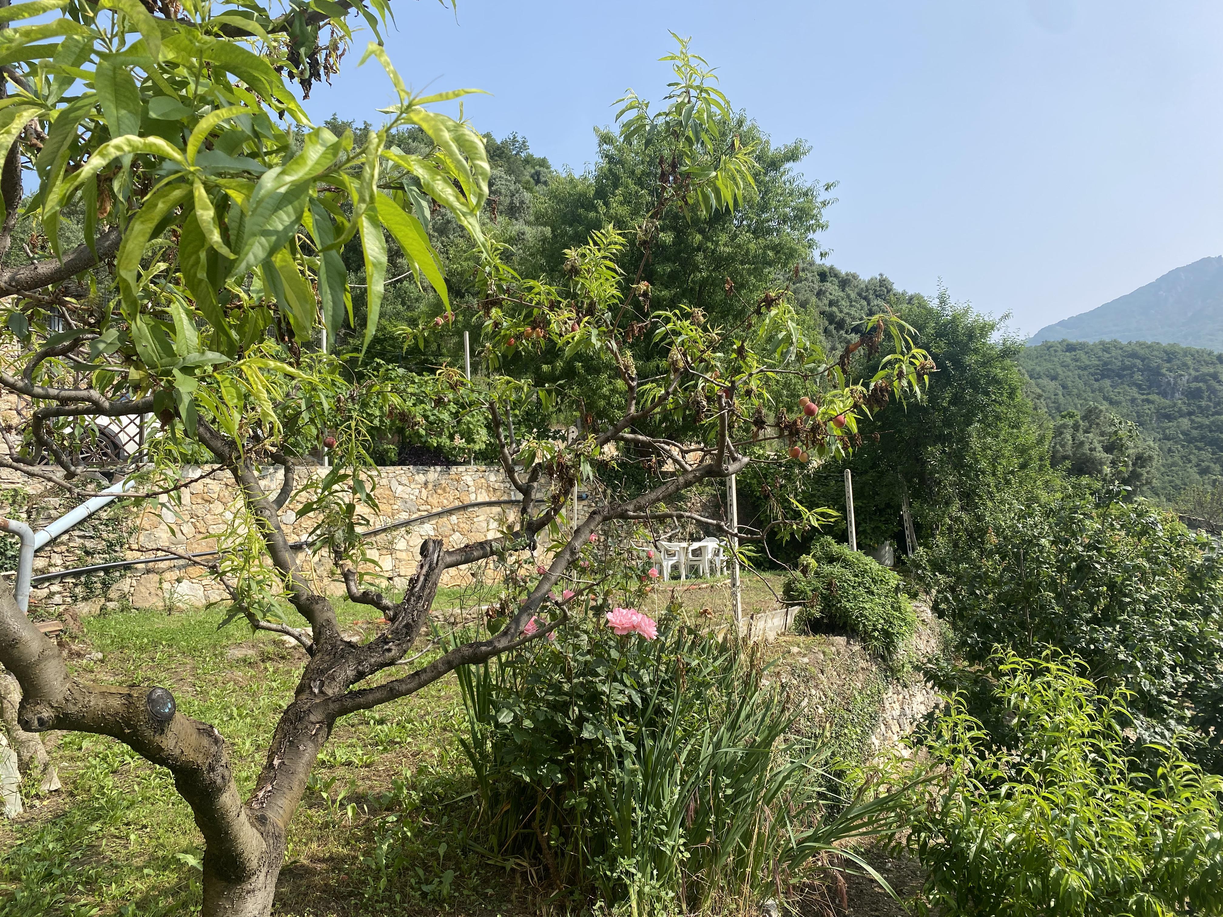 Casa nella natura a Erli