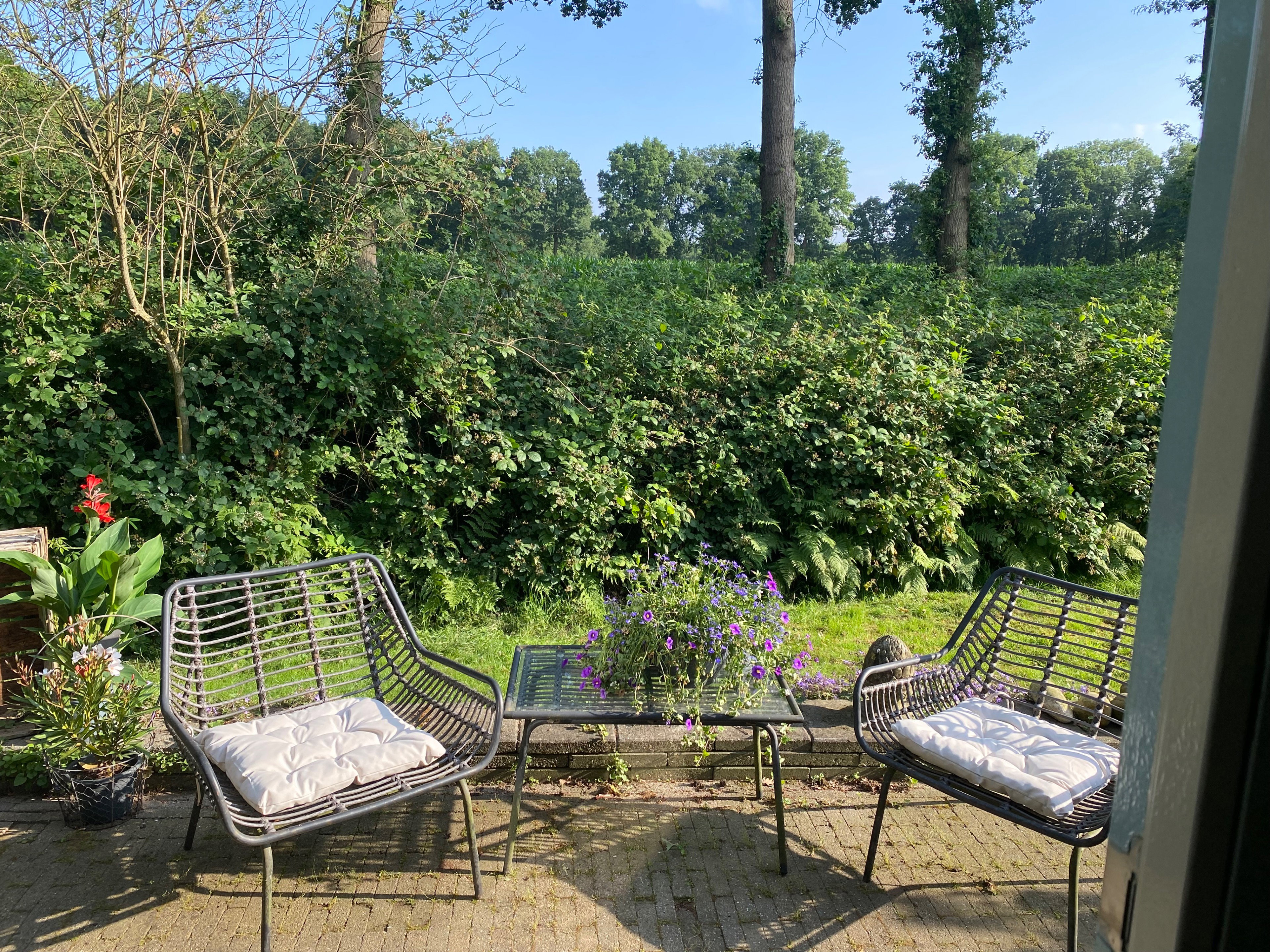 Casa nella natura a Nijkerk
