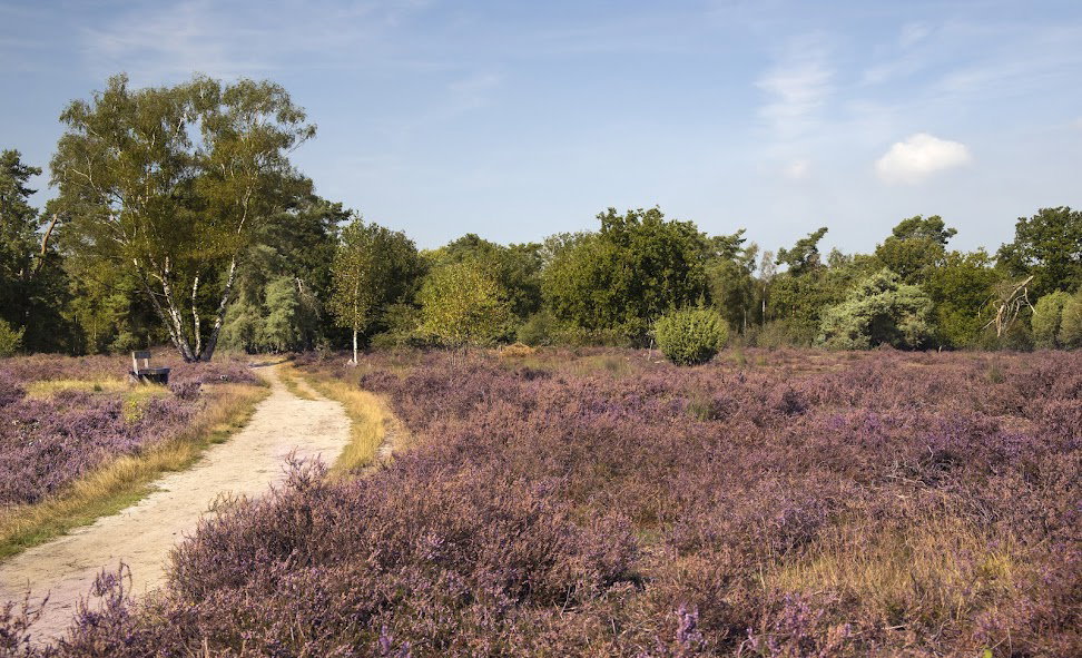 Nature house in Lierop