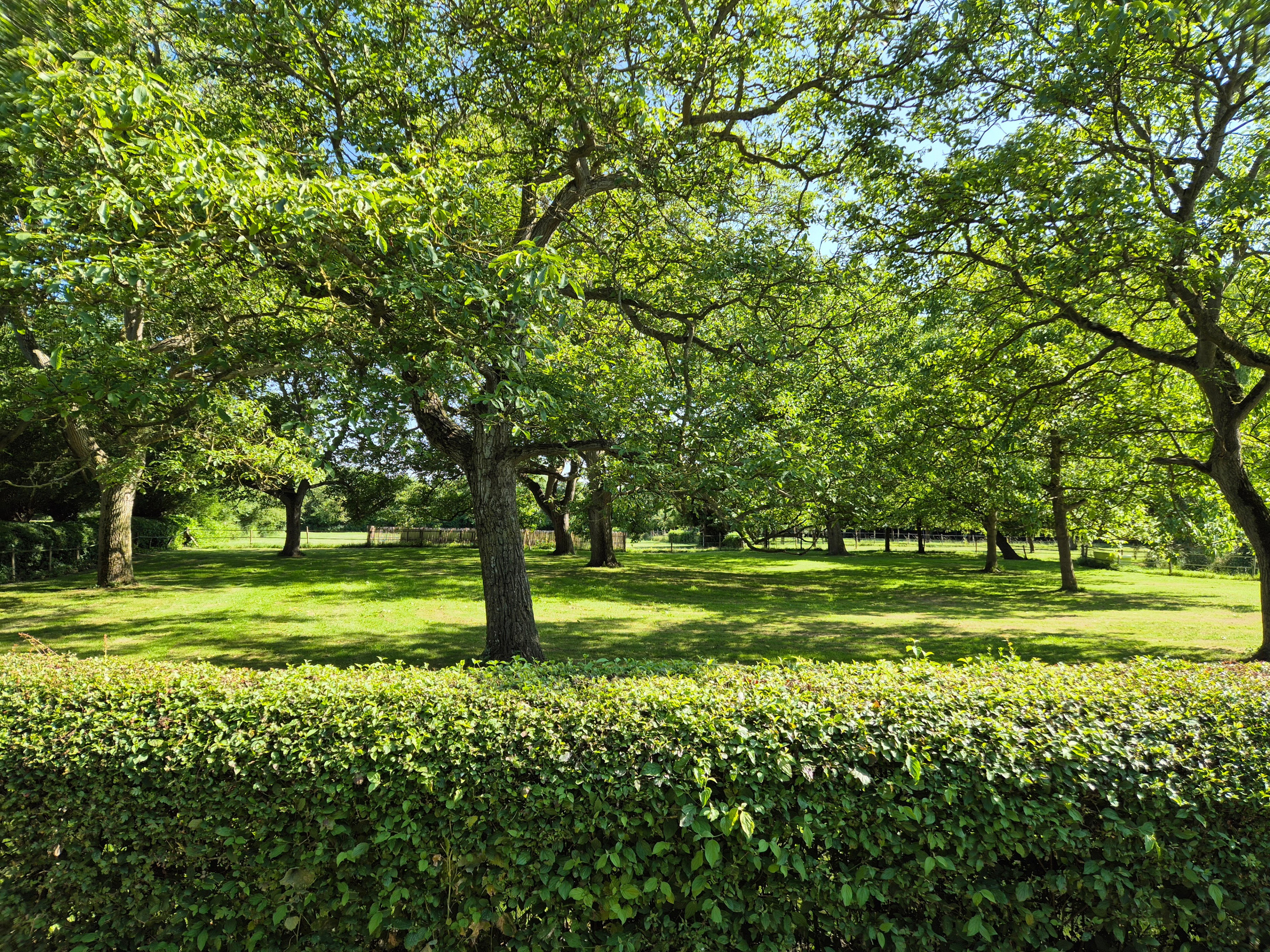 Natuurhuisje in Ovezande