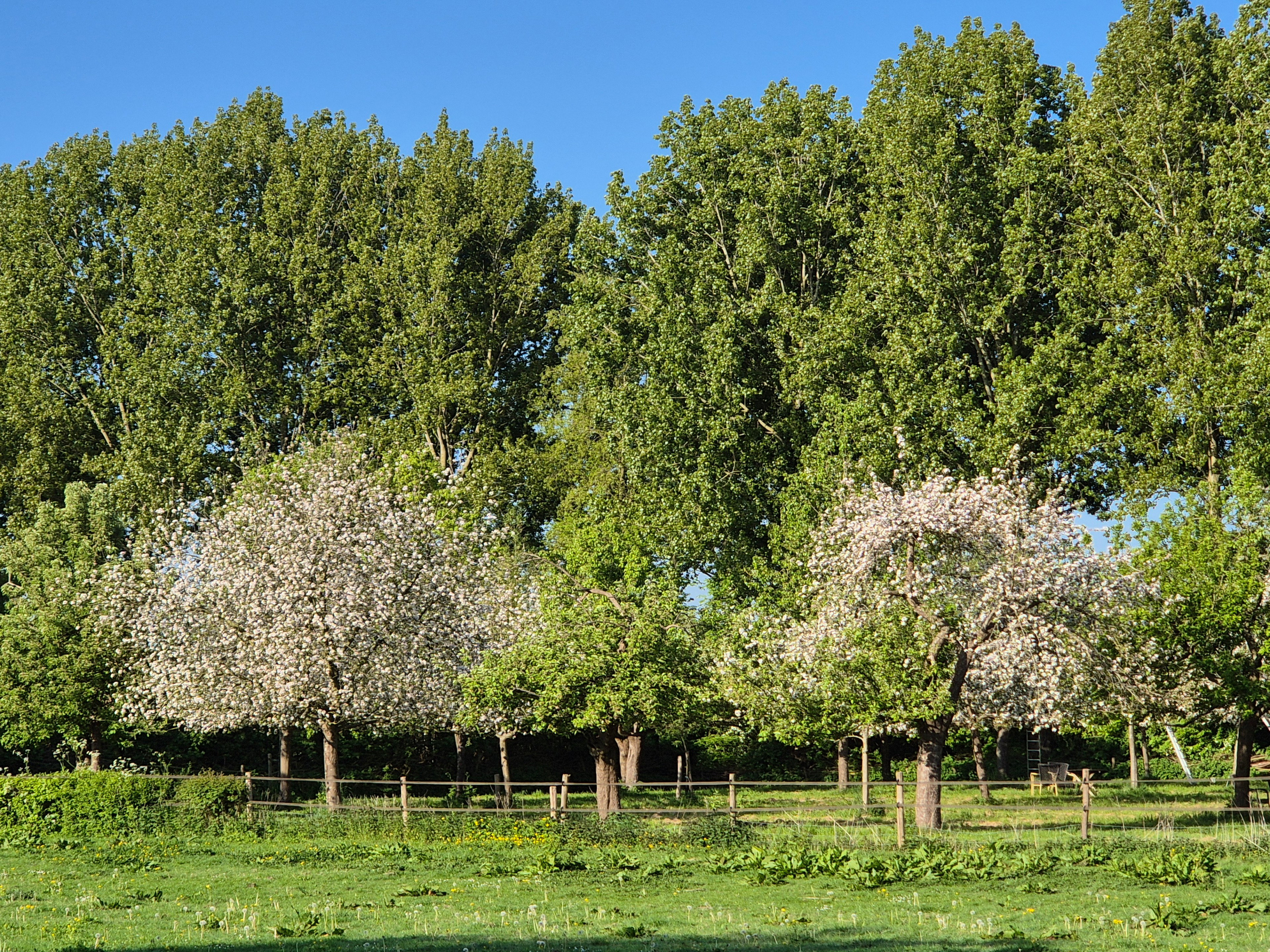 Natuurhuisje in Ovezande