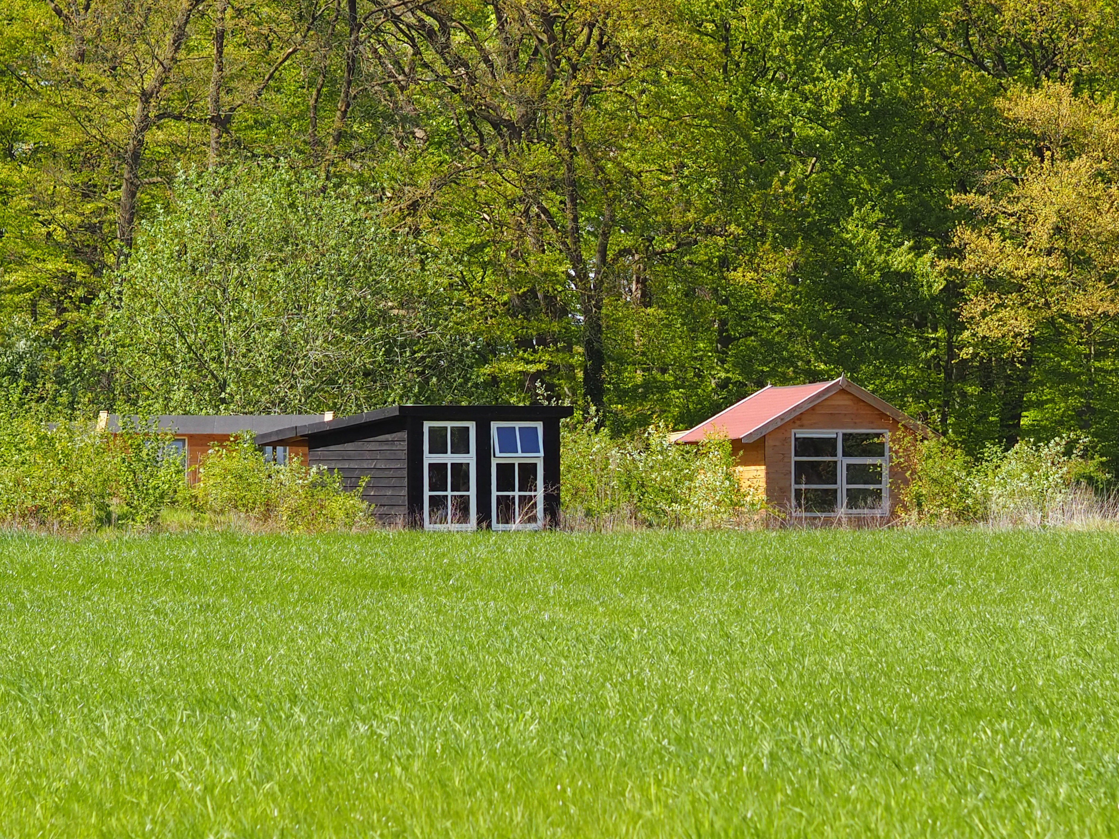 - image: 14