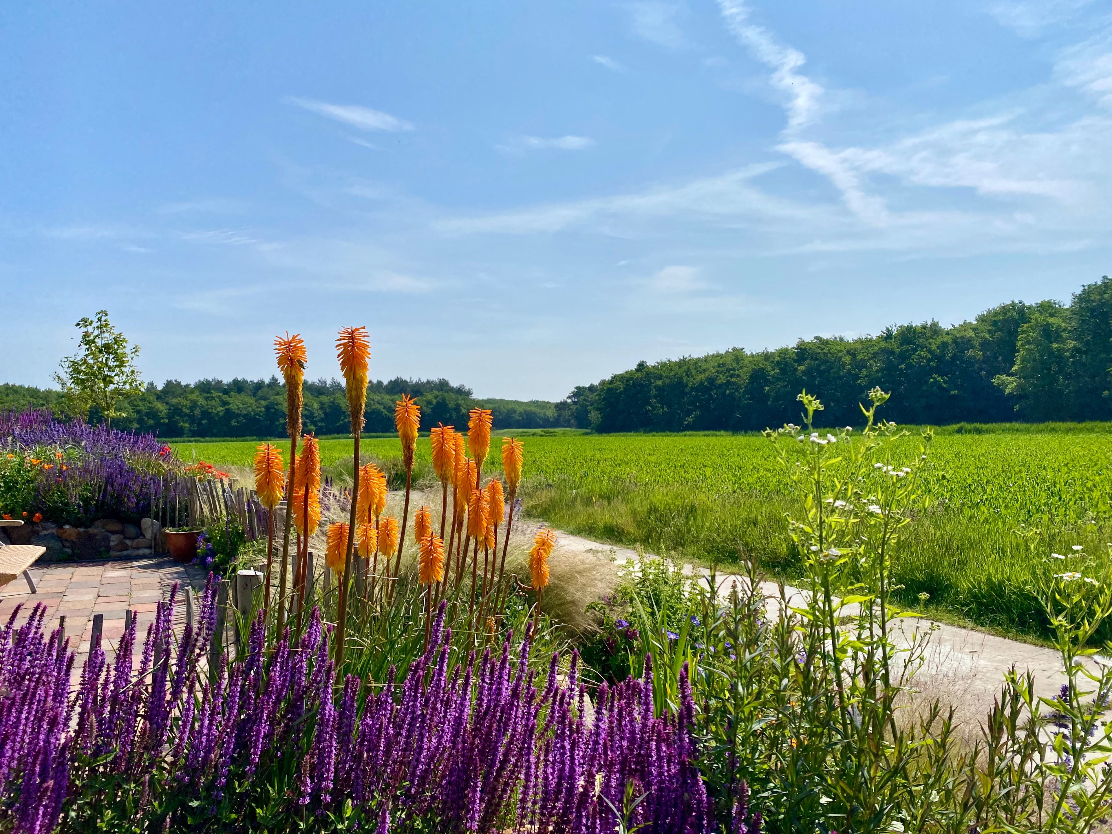 Natuurhuisje in Callantsoog