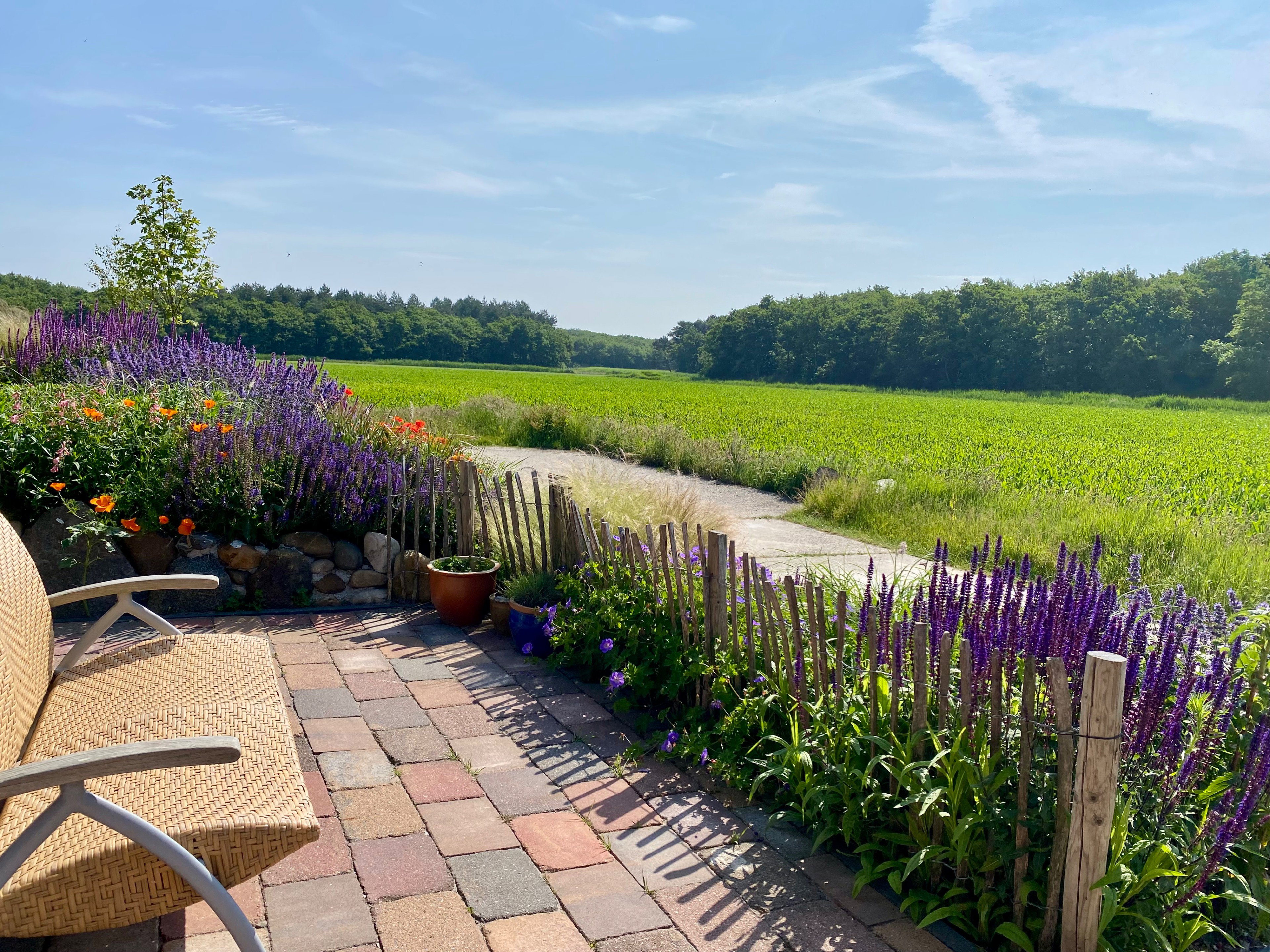 Natuurhuisje in Callantsoog