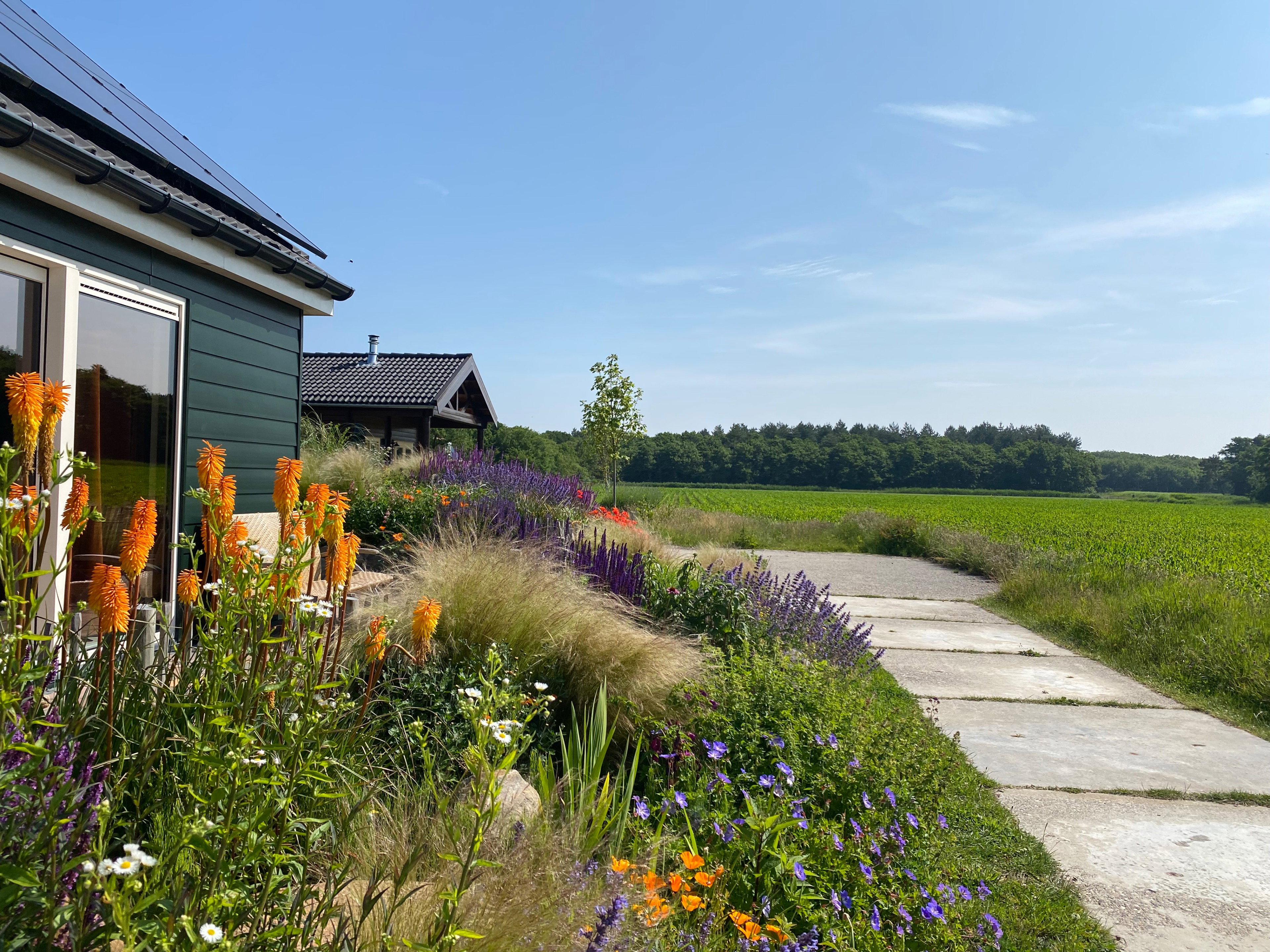 Natuurhuisje in Callantsoog