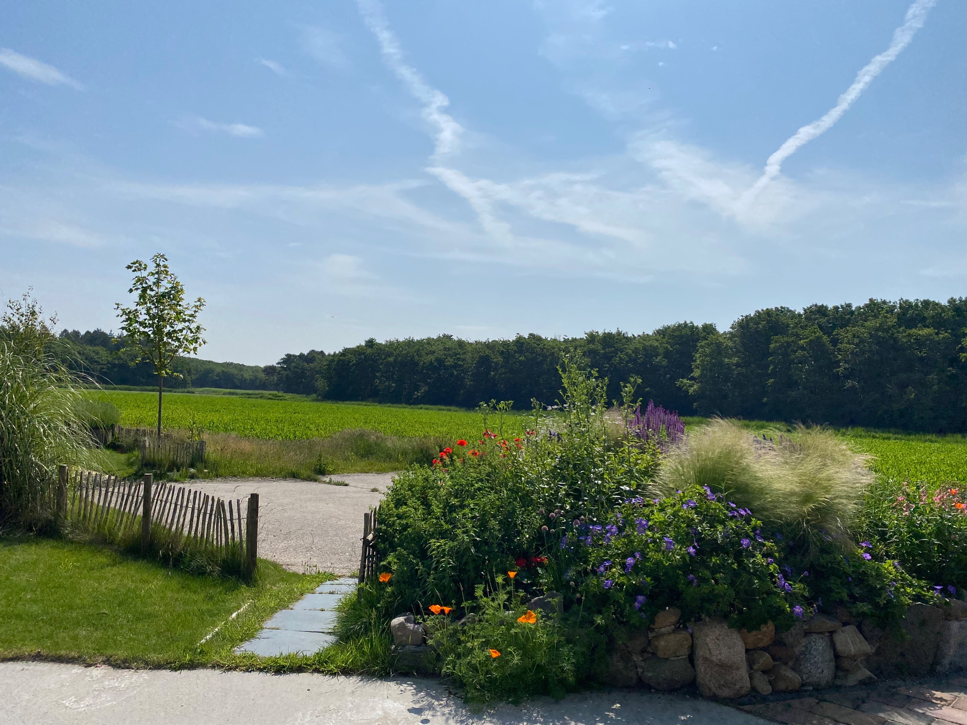 Natuurhuisje in Callantsoog