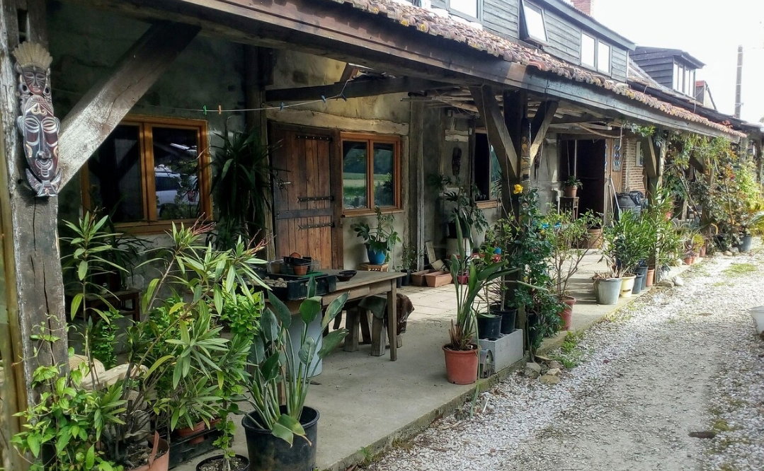 - image: 11