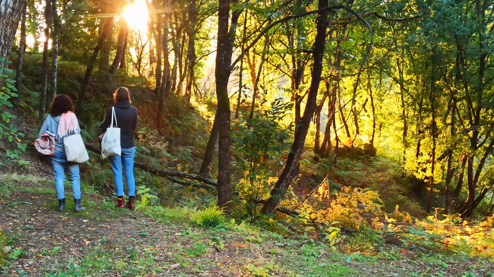 Casa nella natura a Ponte das Tres Entradas