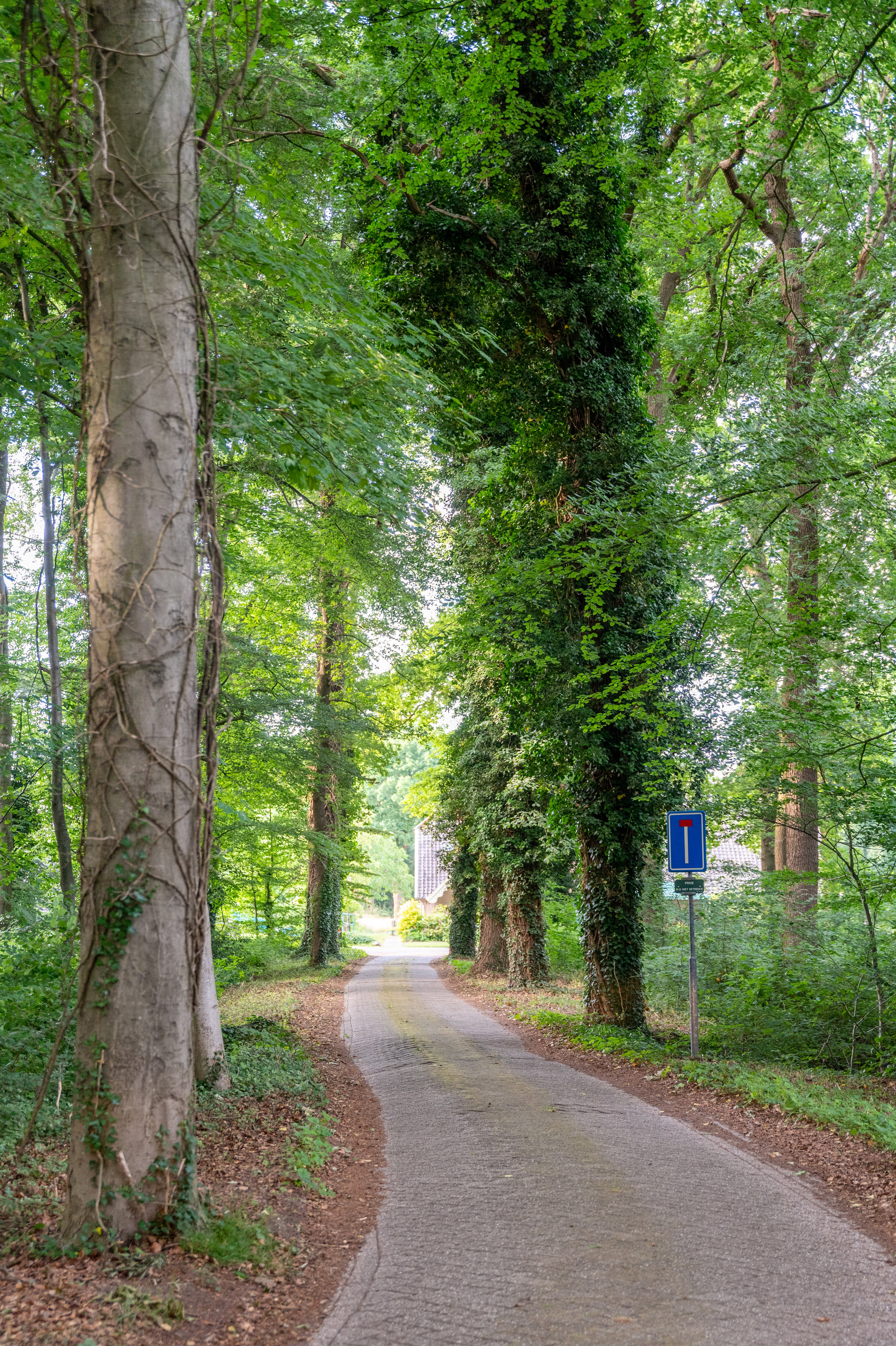 Natuurhuisje in Putten