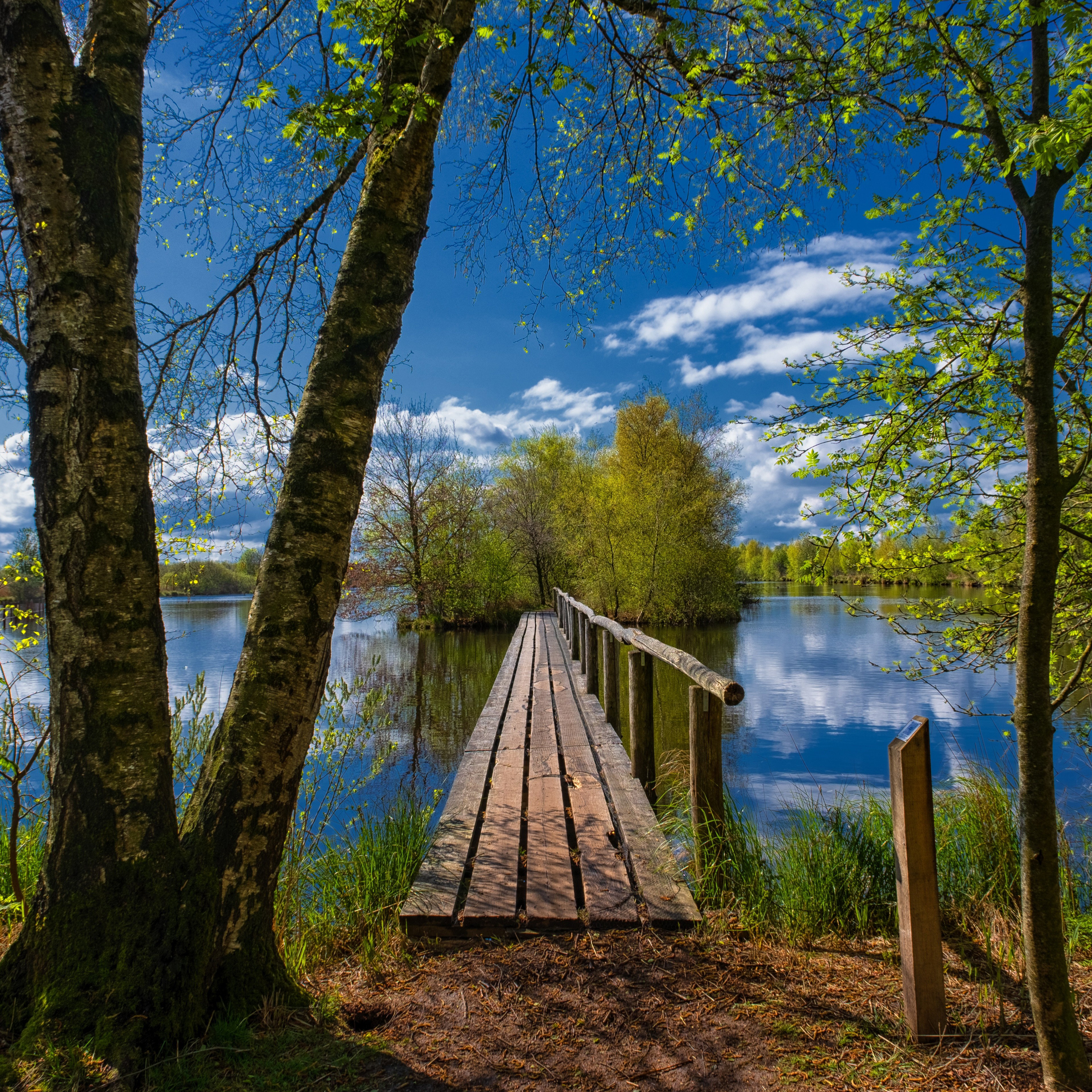 - image: 12