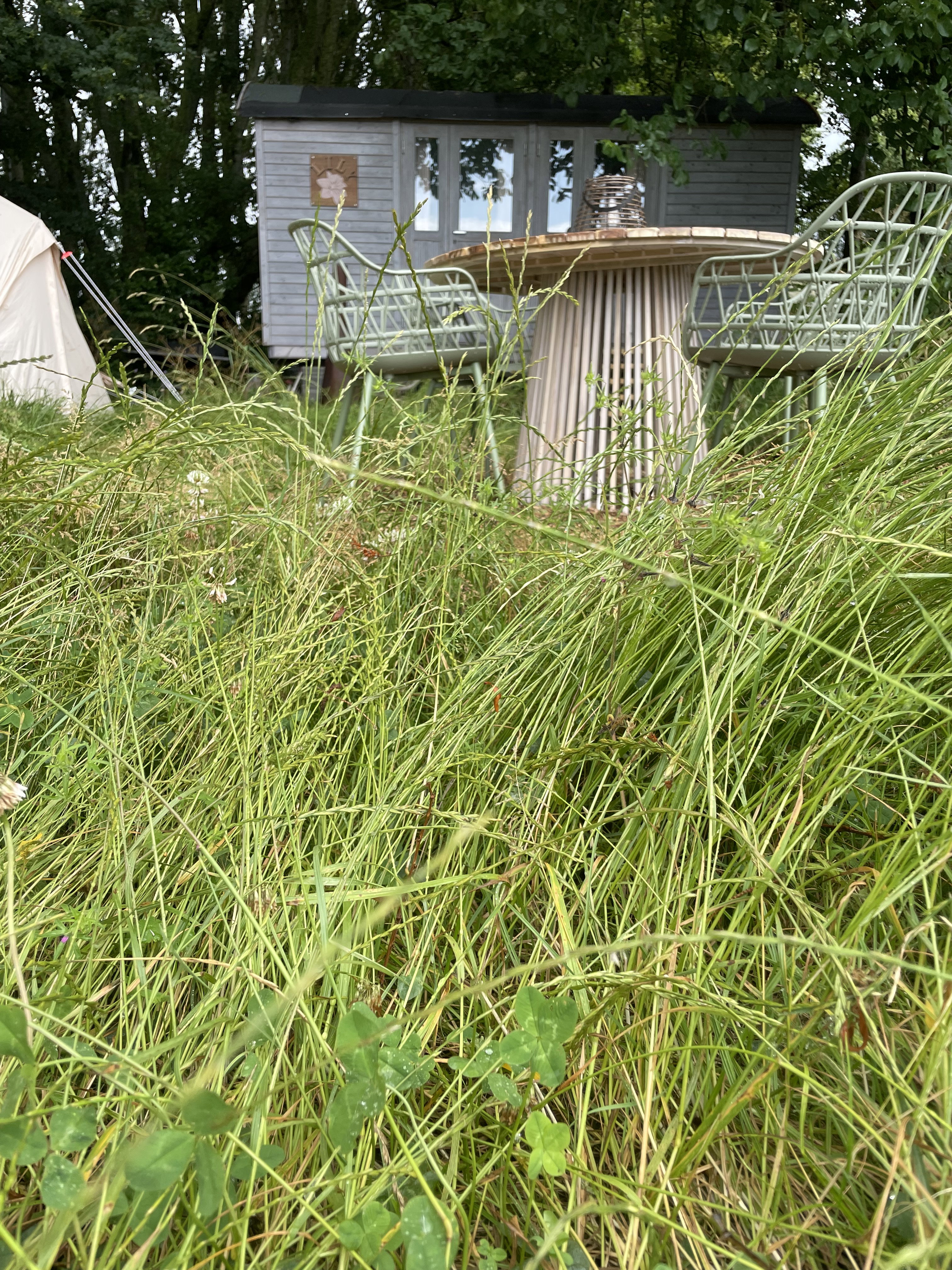 Naturhäuschen in Venhuizen
