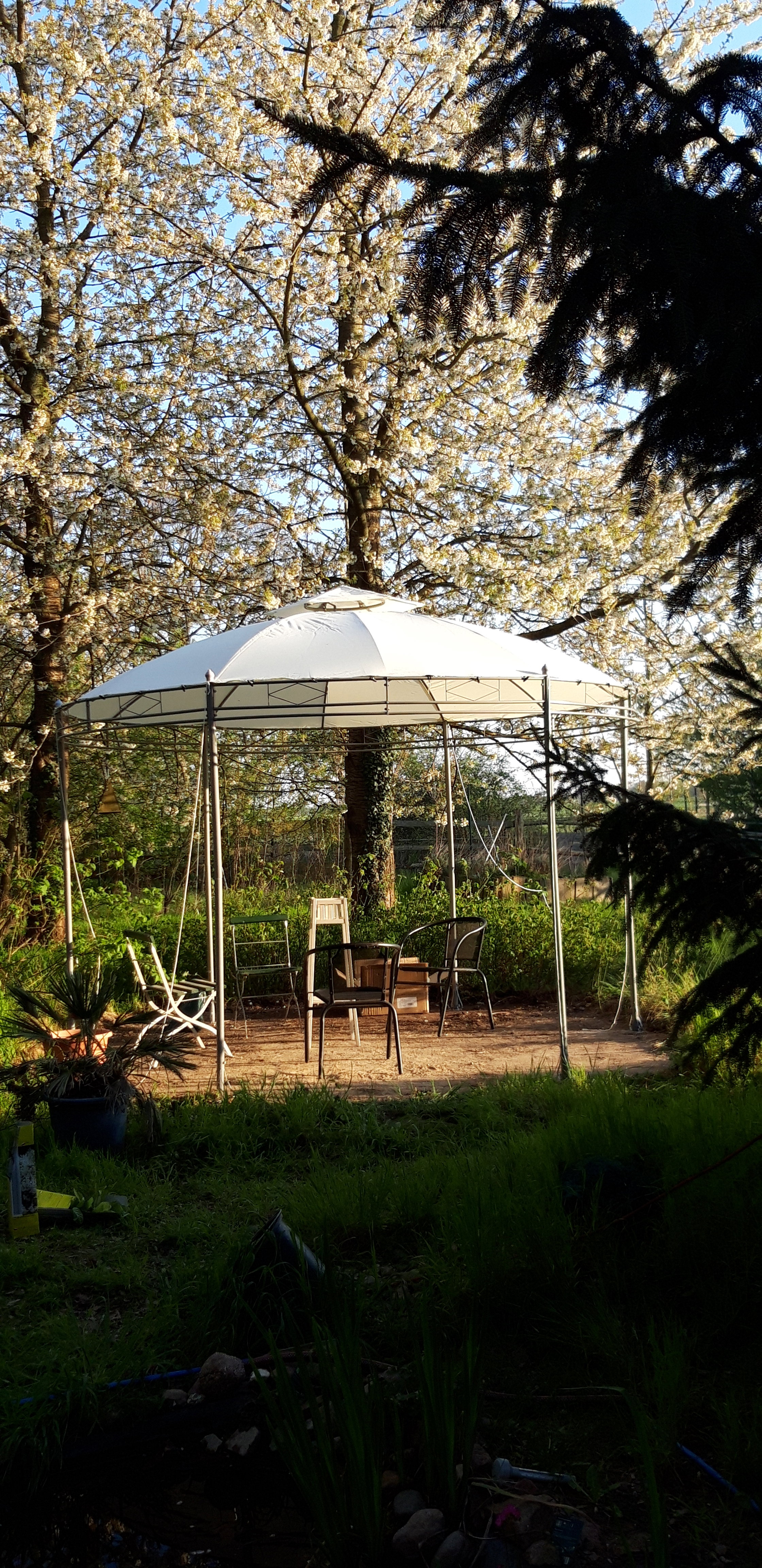 Casa nella natura a Baben
