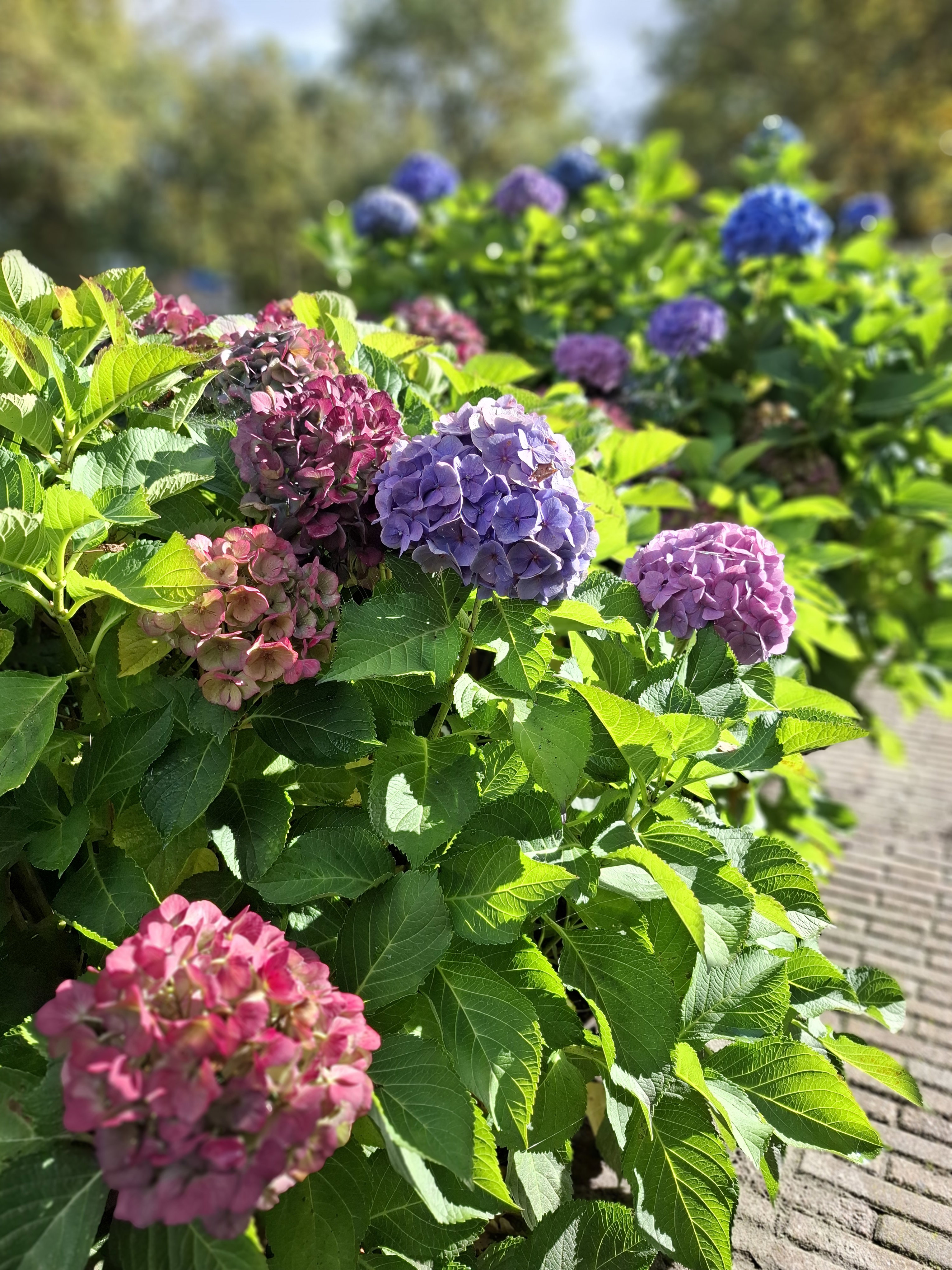 Natuurhuisje in Wedde