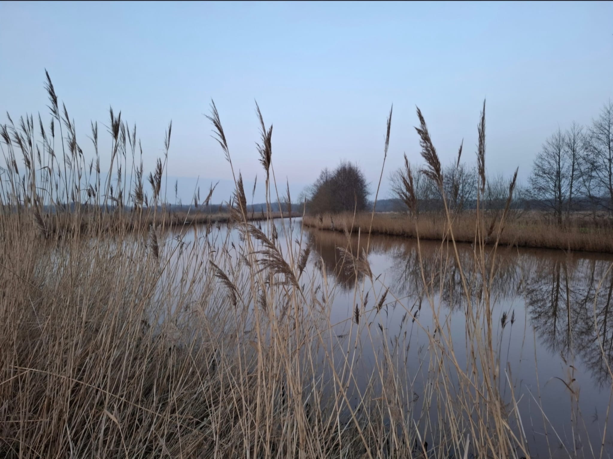 - image: 28