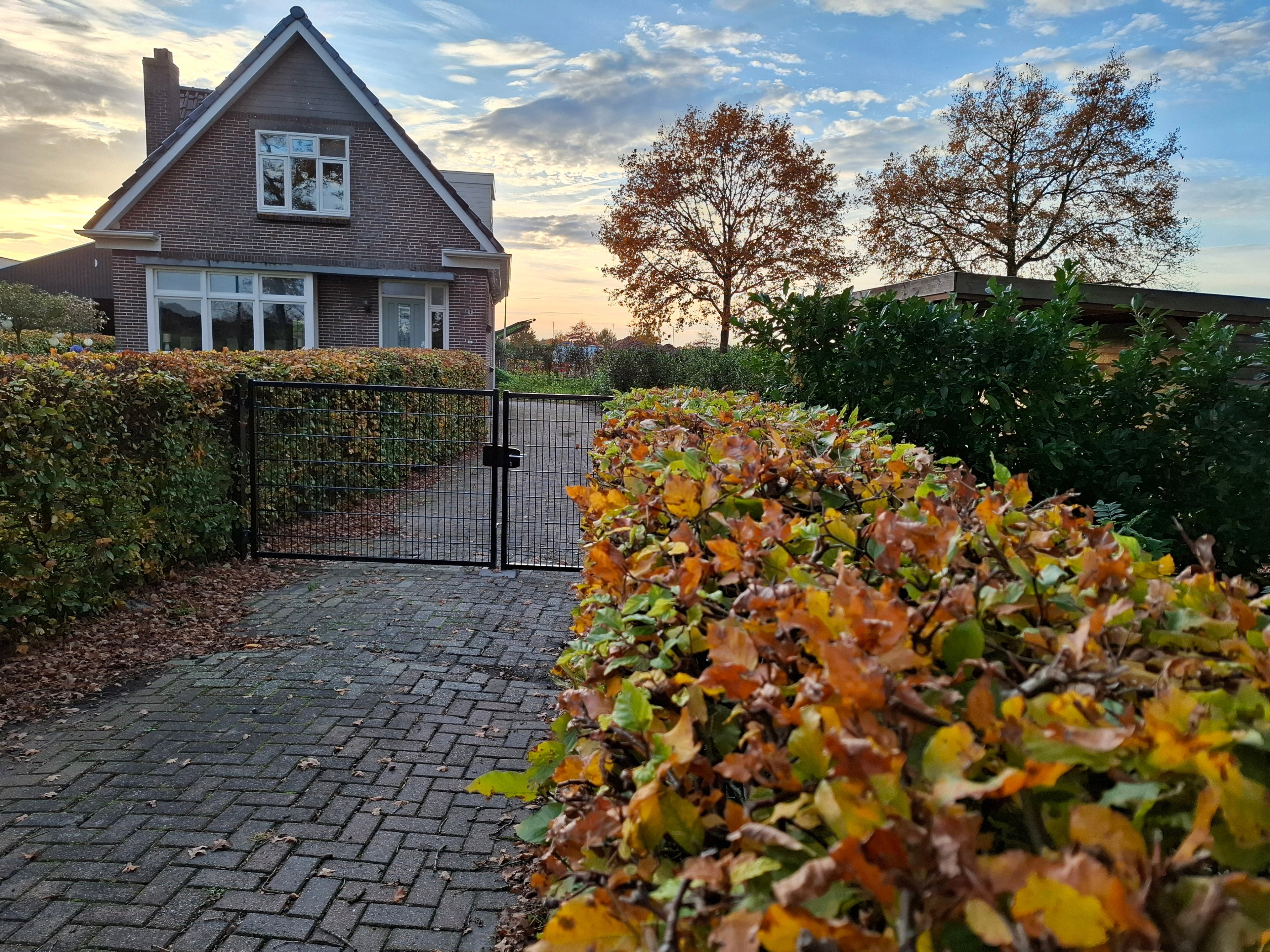 Natuurhuisje in Wedde