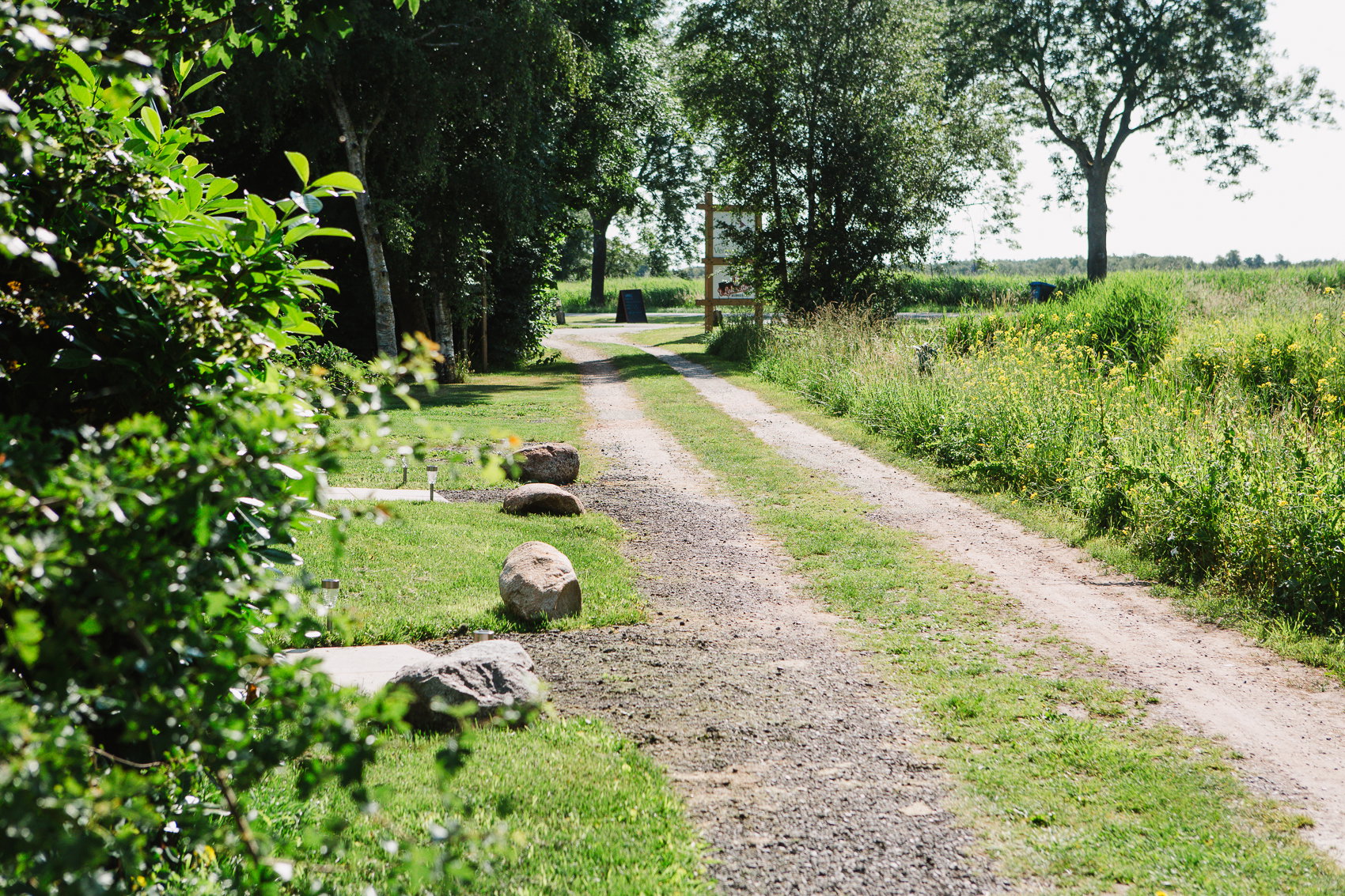 - image: 12