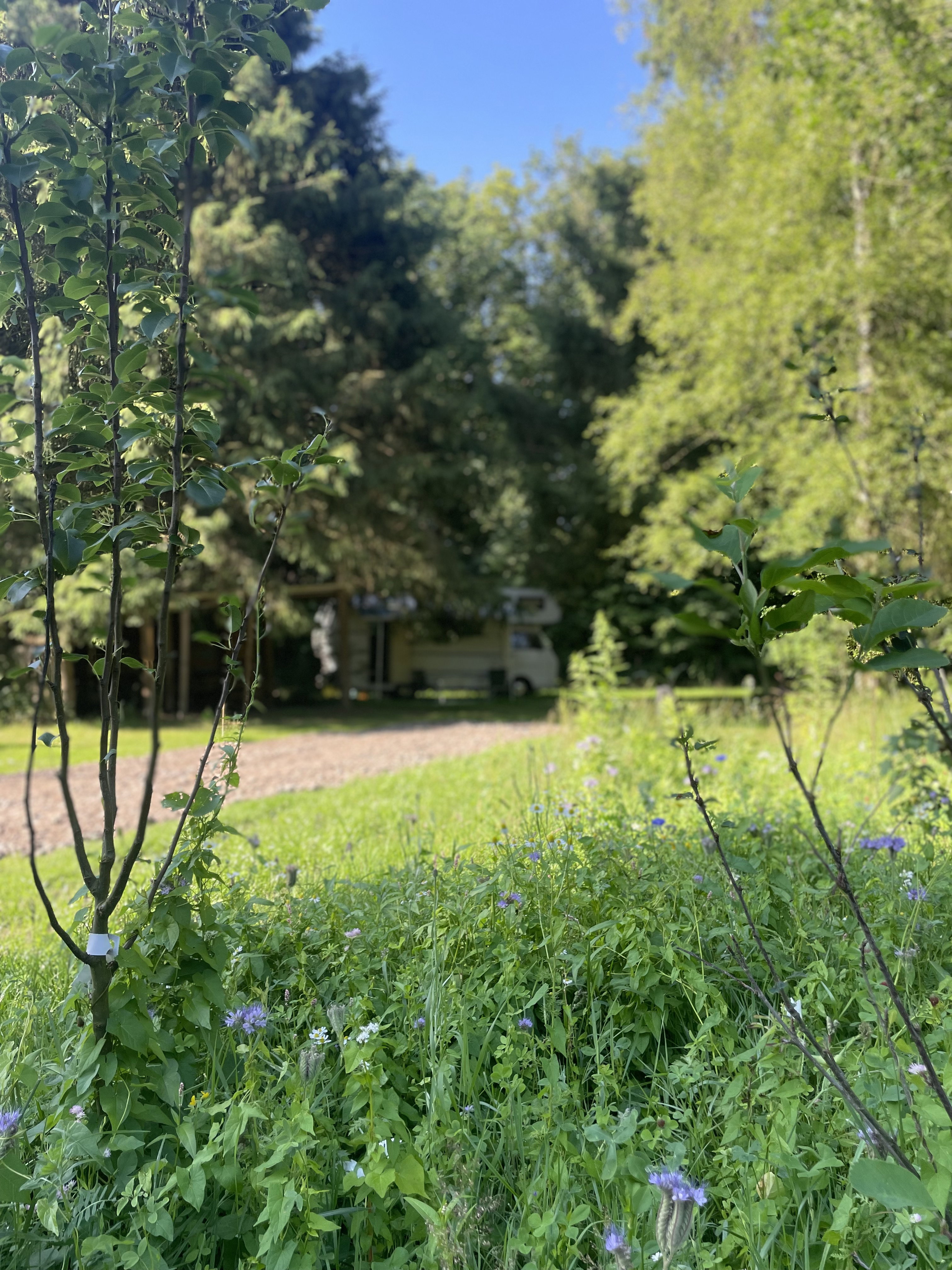 Naturhäuschen in Tiendeveen