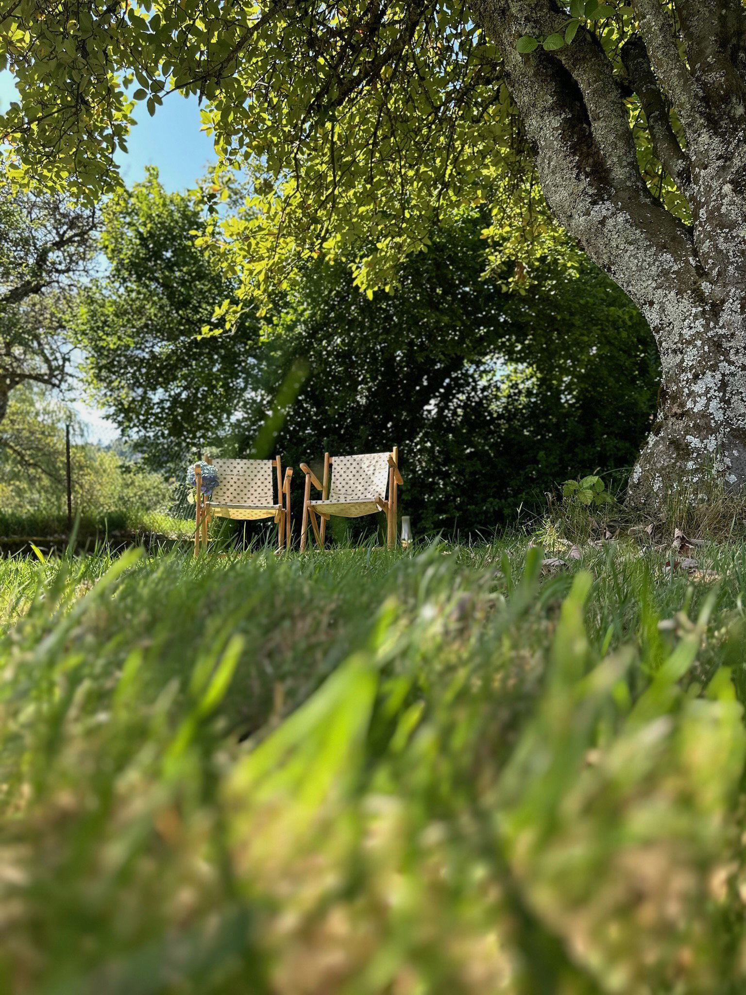 Natuurhuisje in GEISHOUSE