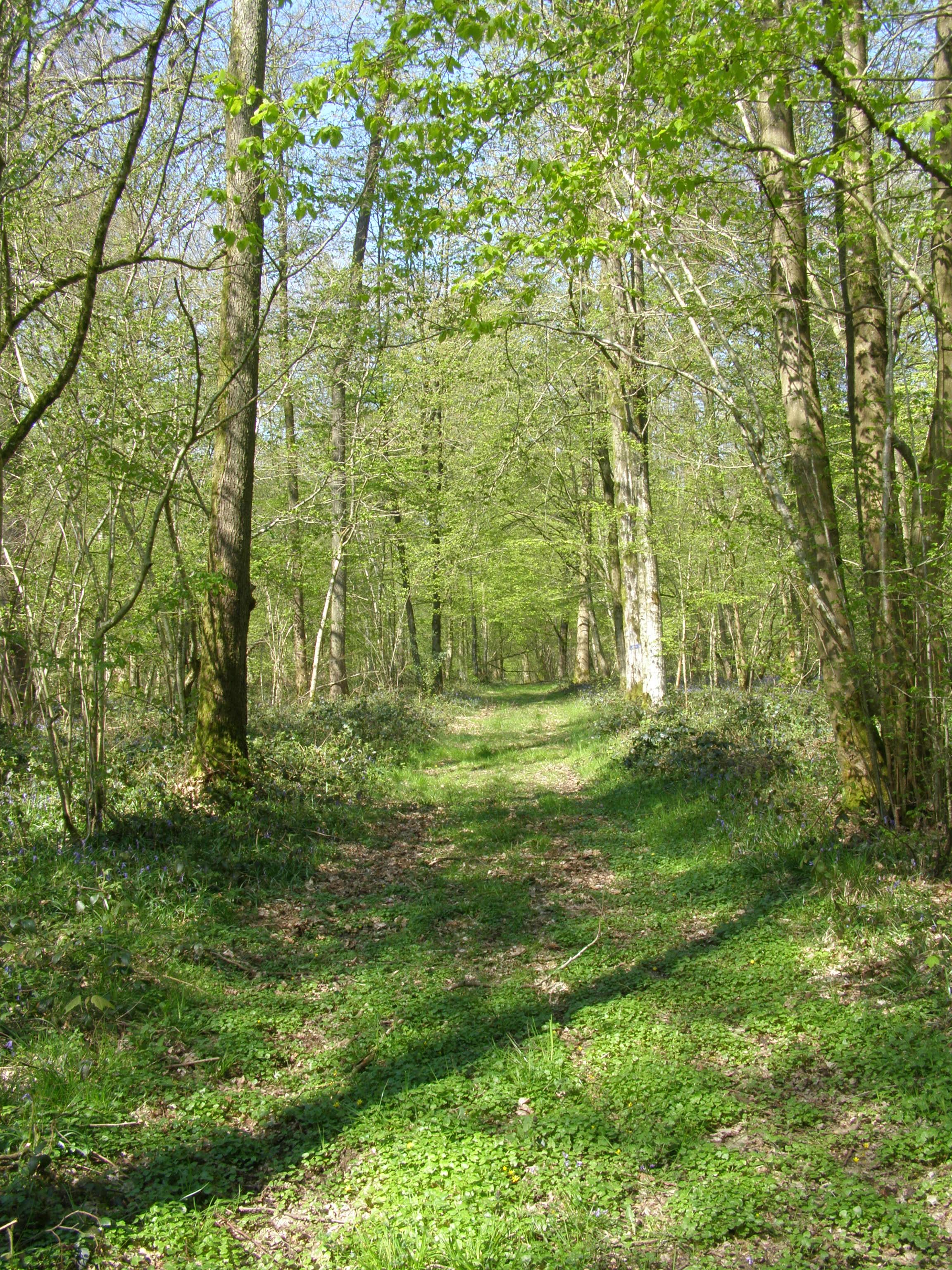 - image: 63