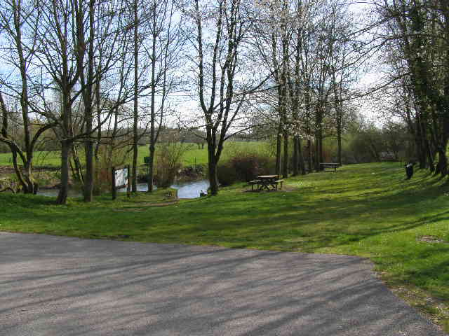 - image: 46