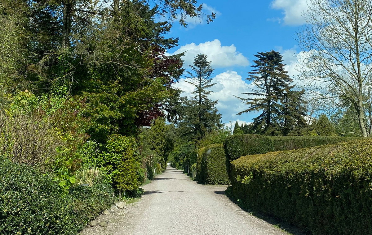 Natuurhuisje in Rohel