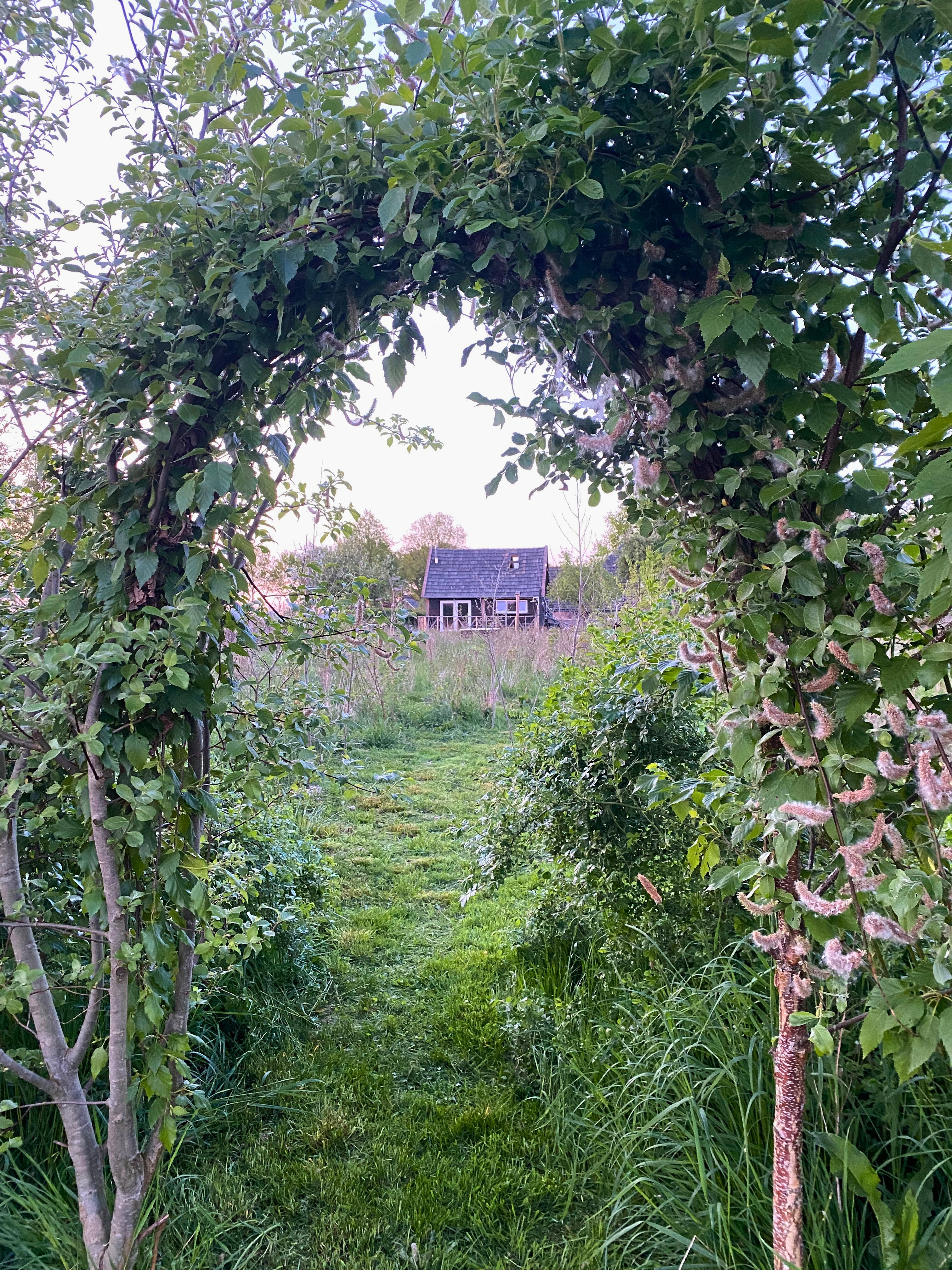 Natuurhuisje in Wijhe