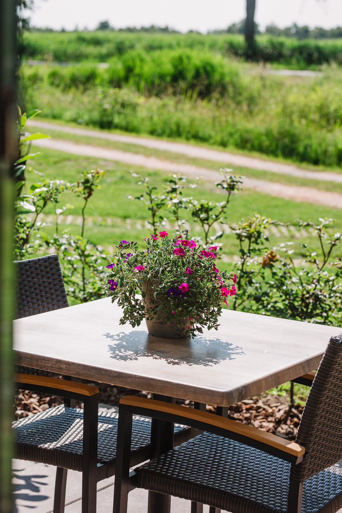 Casa nella natura a Ossenzijl