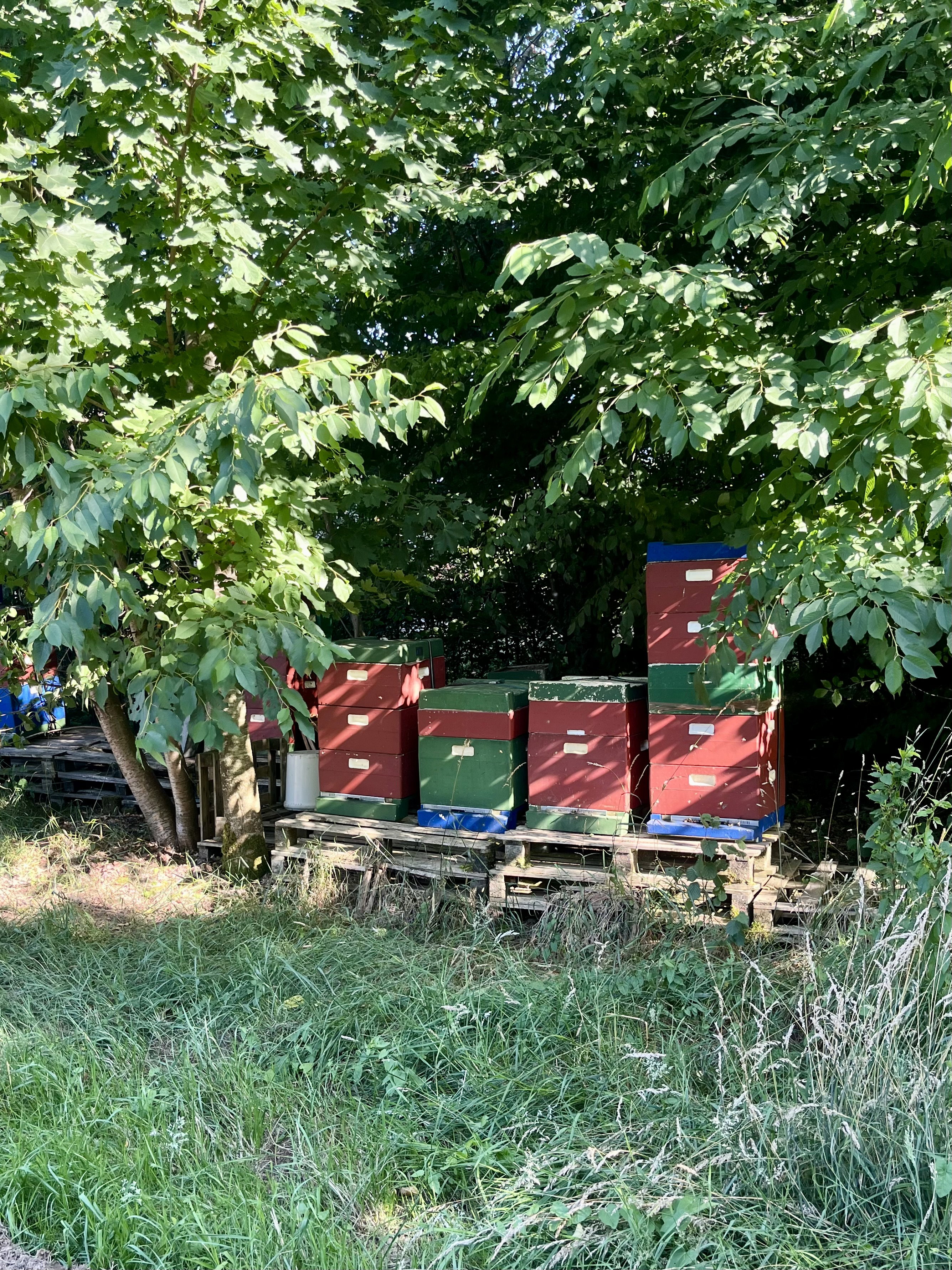 Casa nella natura a Plombières