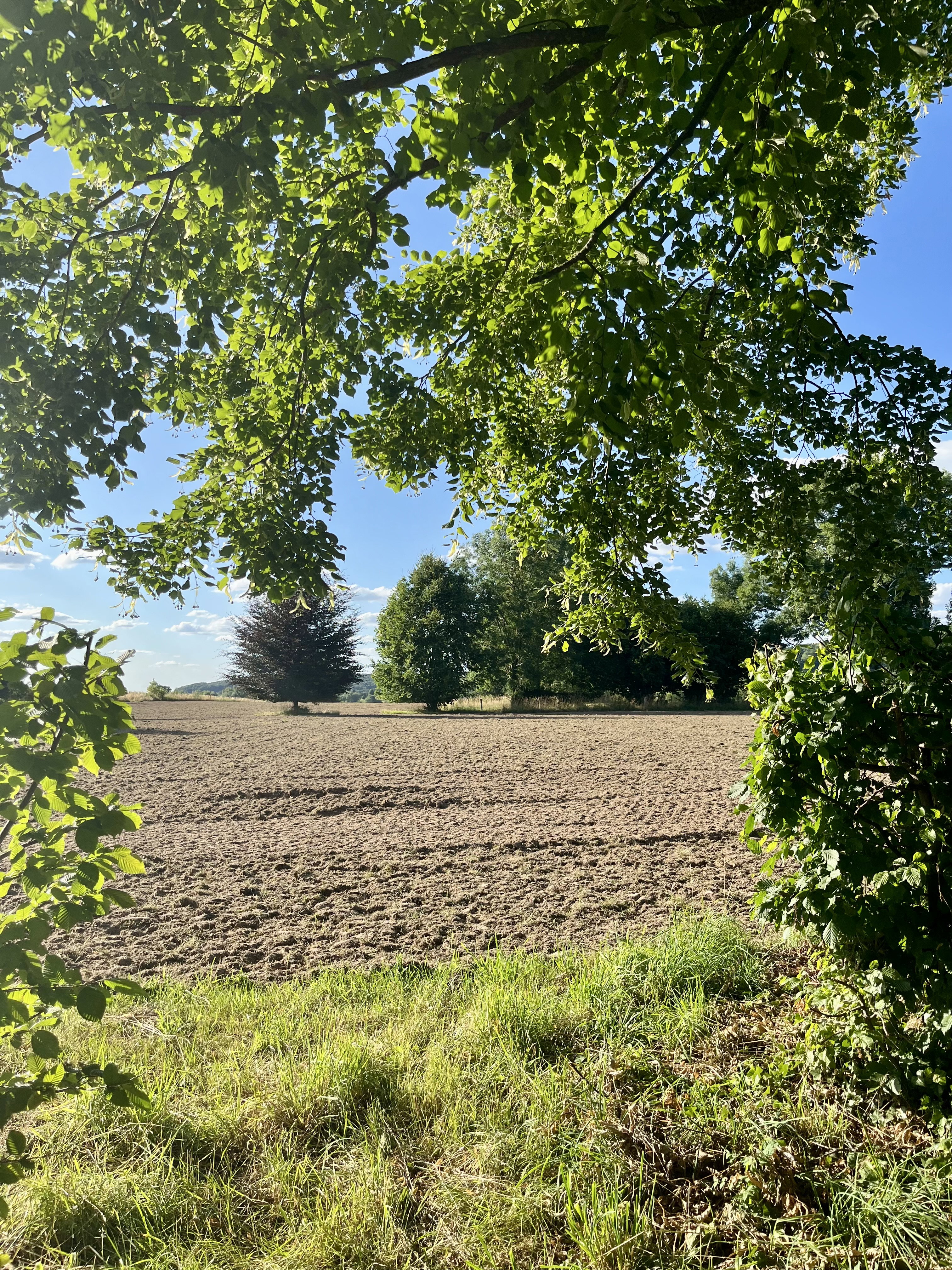 Casa nella natura a Plombières