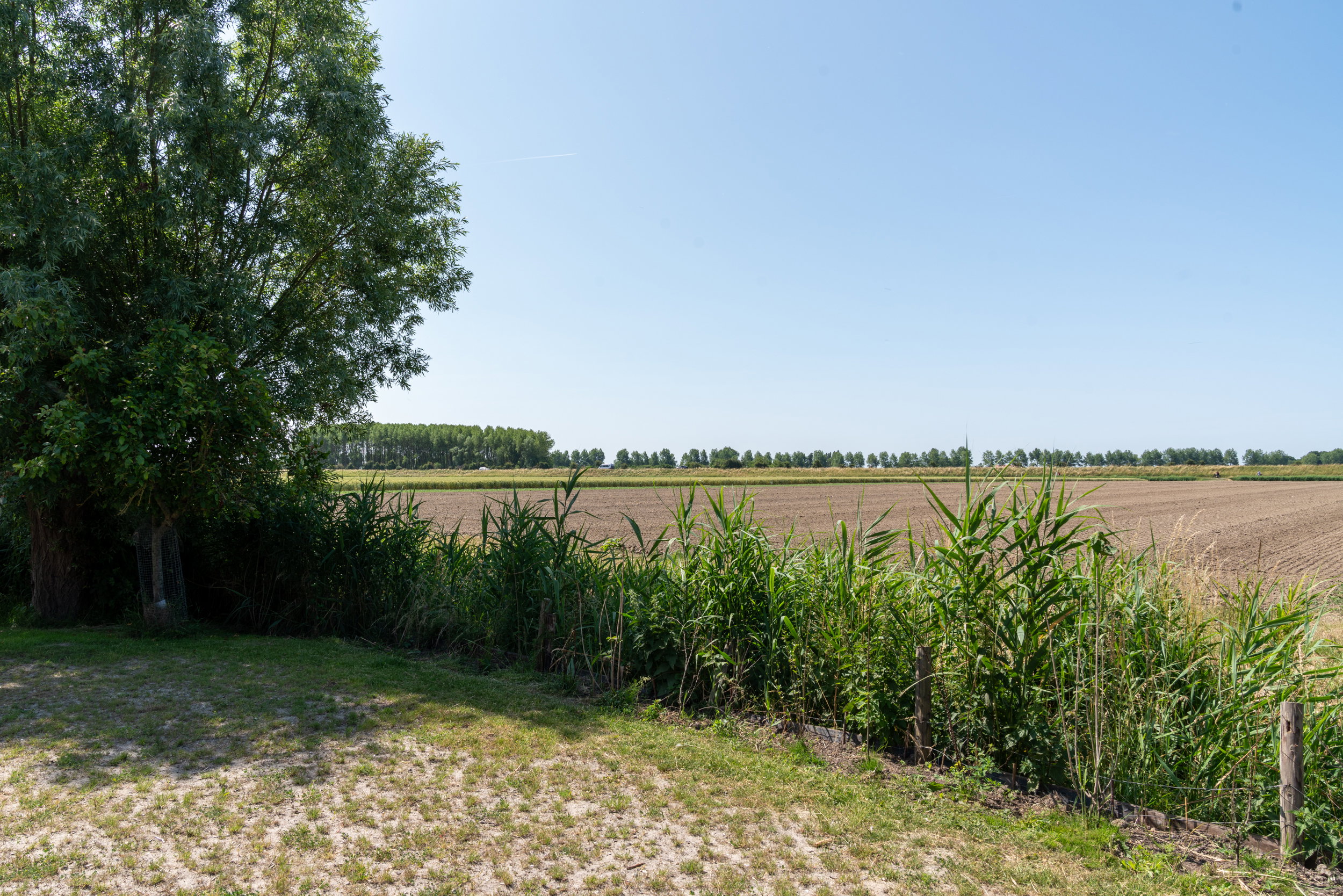 - image: 15