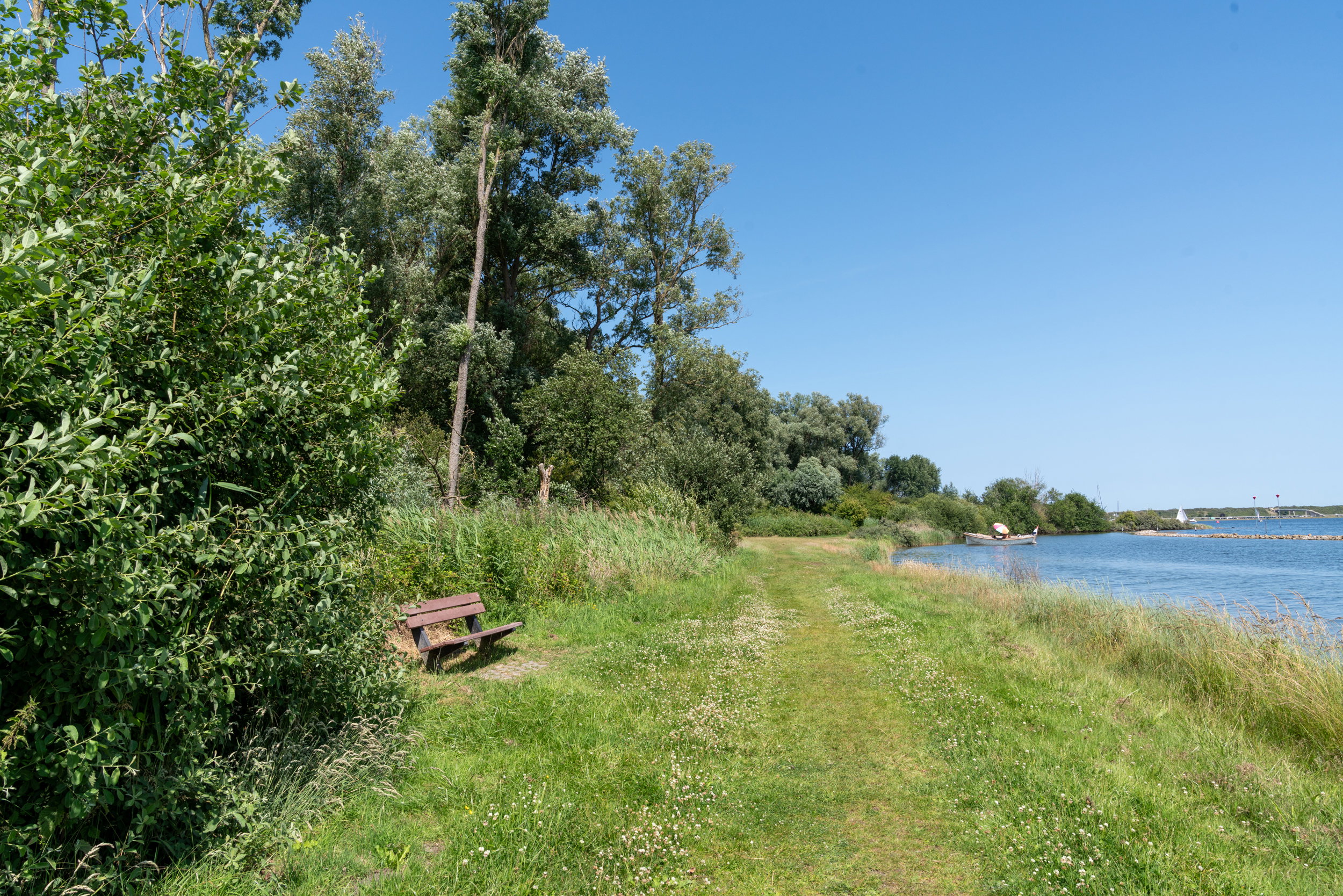 - image: 26
