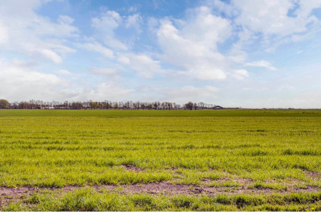 Natuurhuisje in Rohel