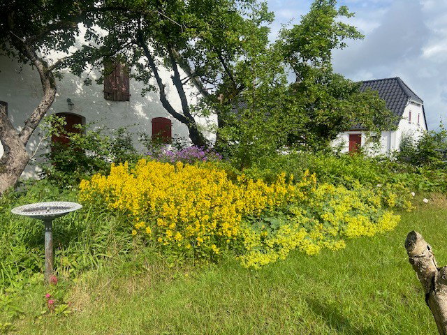Nature house in Viborg