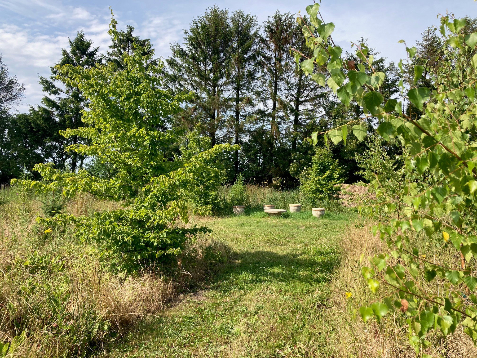 Nature house in Viborg